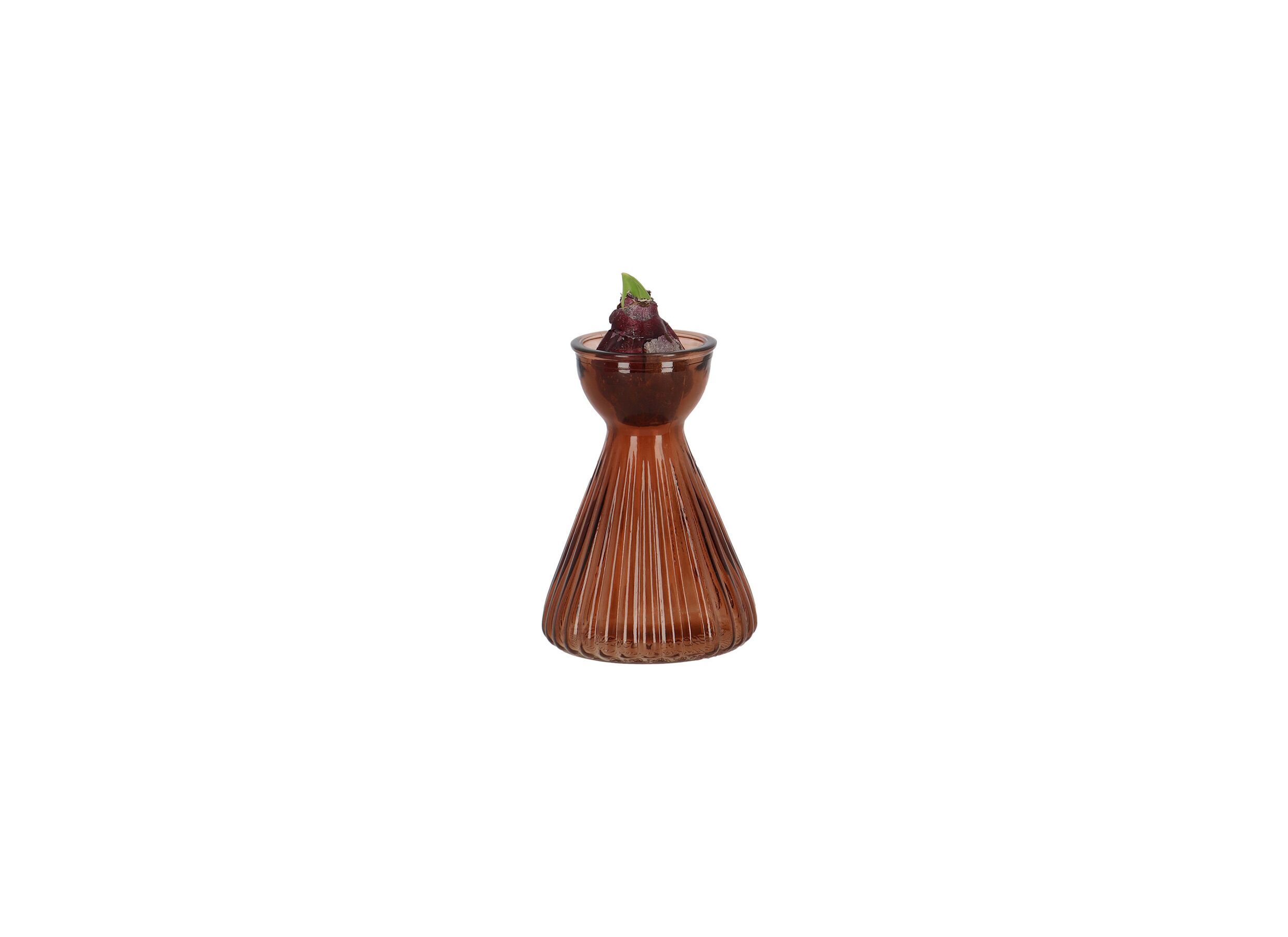 Aperçu - Vase à Bulbe Hyacinthe H12,8cm