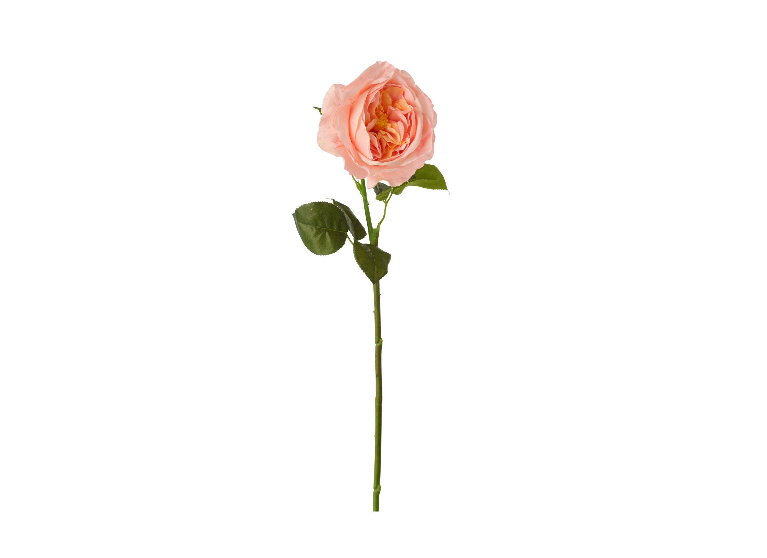 Plus Important - Fleur artificielle Rose H68cm