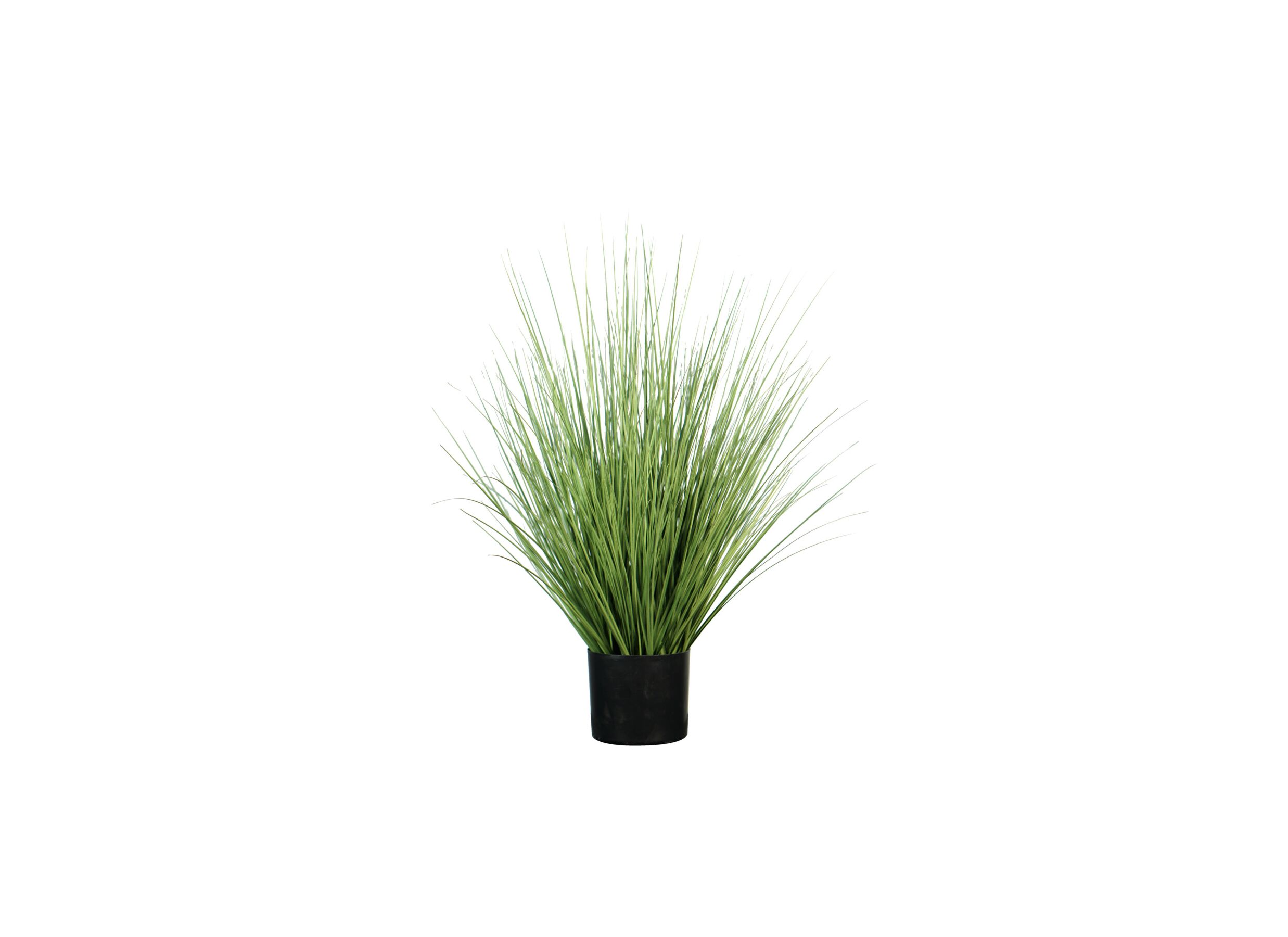 Plante artificielle Ail Des Vignes H74cm - Plante artificielle Ail Des Vignes H74cm