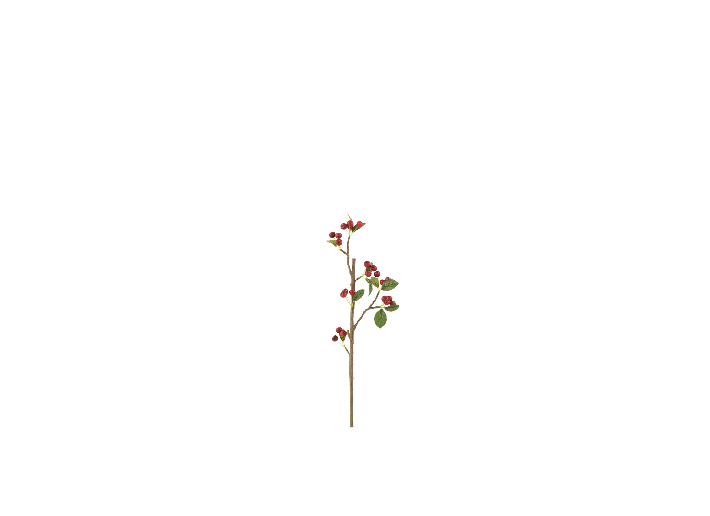 Decoratietak Bessen H46cm