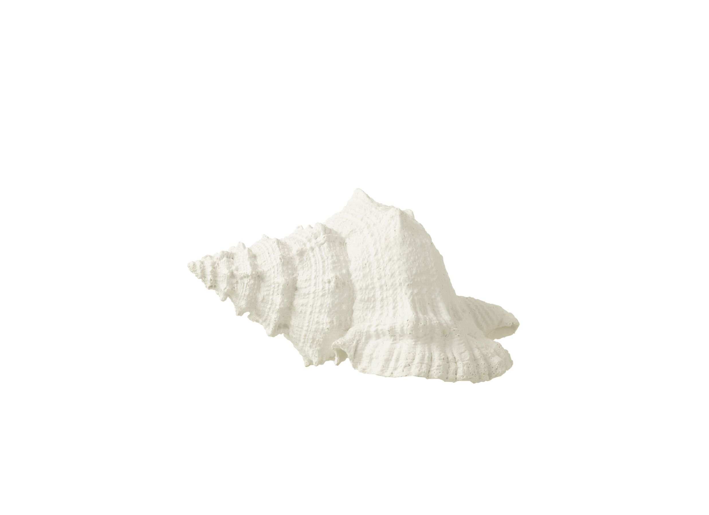 Plus Important - Déco Coquillage H13cm - polystone - blanc