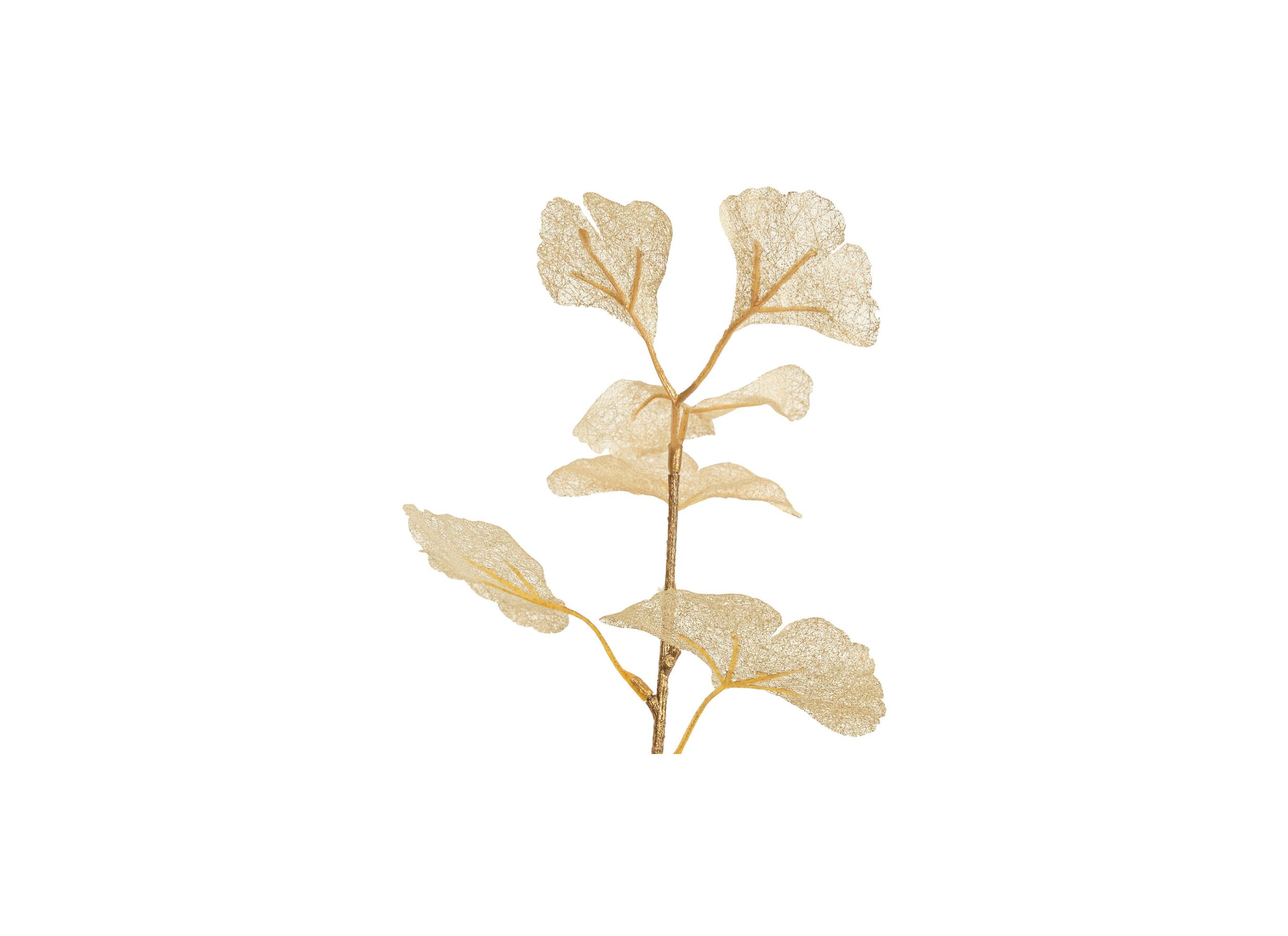 Detailfoto - Decoratietak Ginkgo H77cm