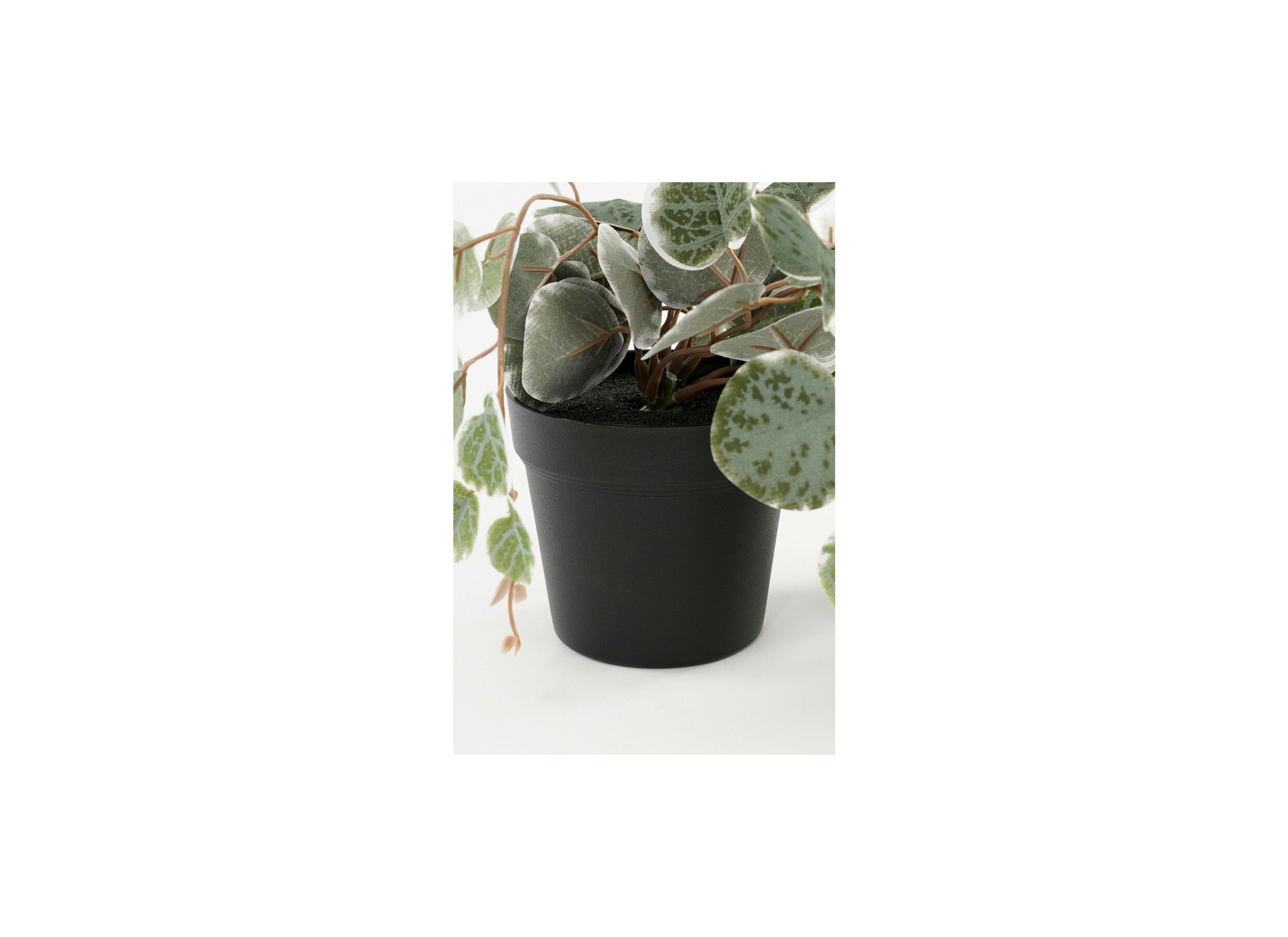 Detail - Plante artificielle suspendue Ceropegia woodii H46cm polyester vert