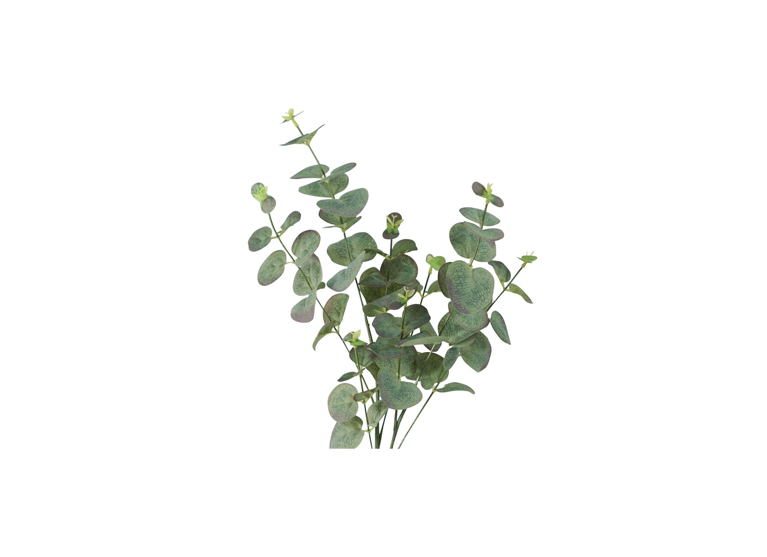 Detail - Branche artificielle Eucalyptus H65cm - synthétique - vert