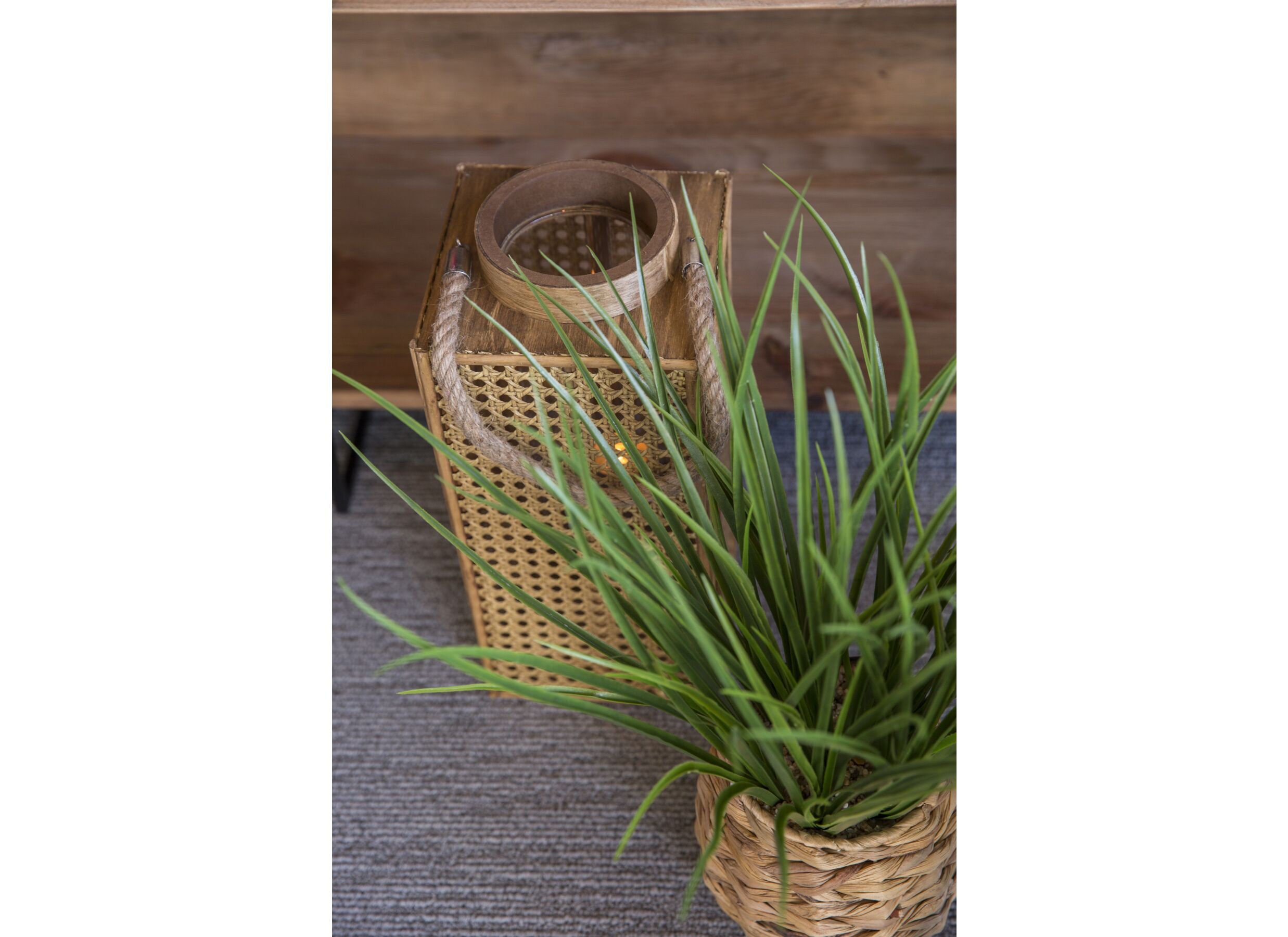 Foto ambiance - Plante artificielle Moda H46cm