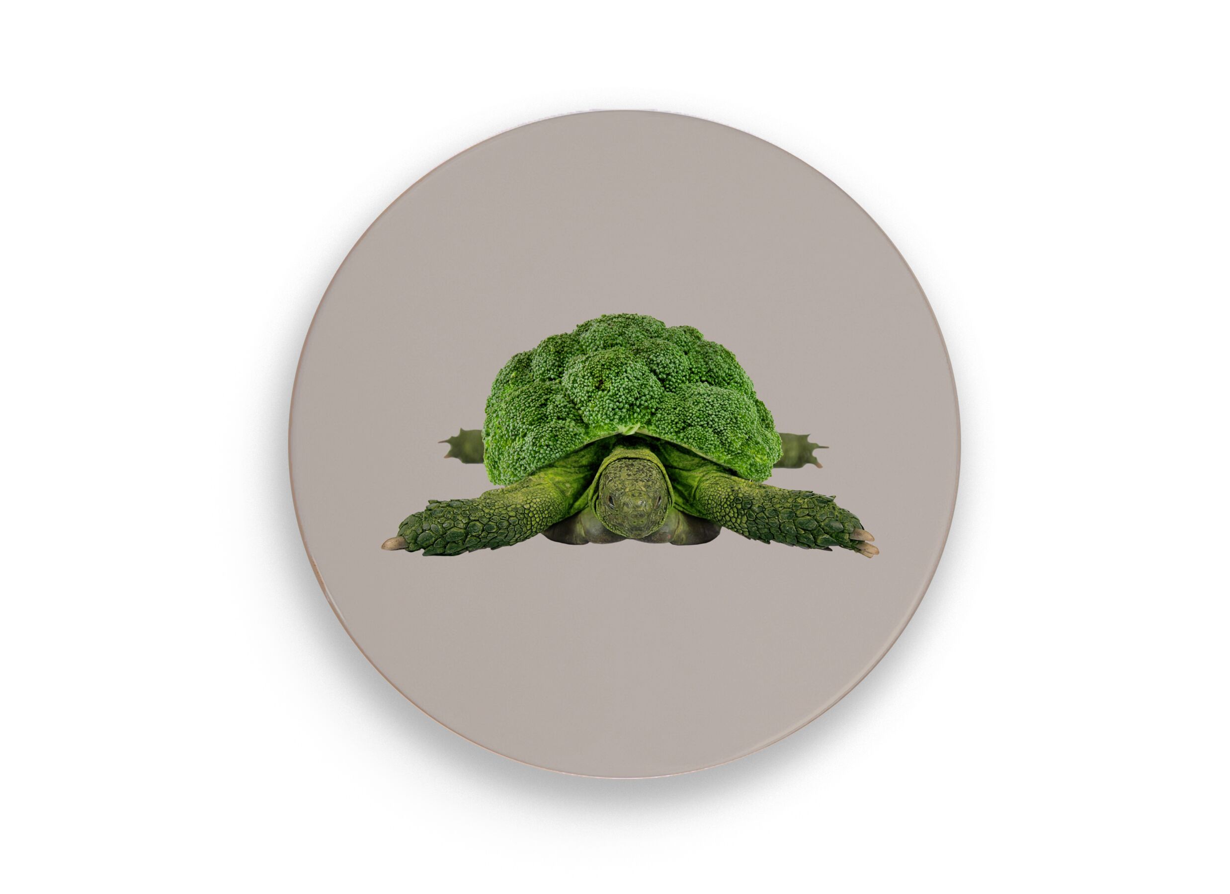 Plus Important - Sous-plat Tortue Ø18cm - stoneware - gris