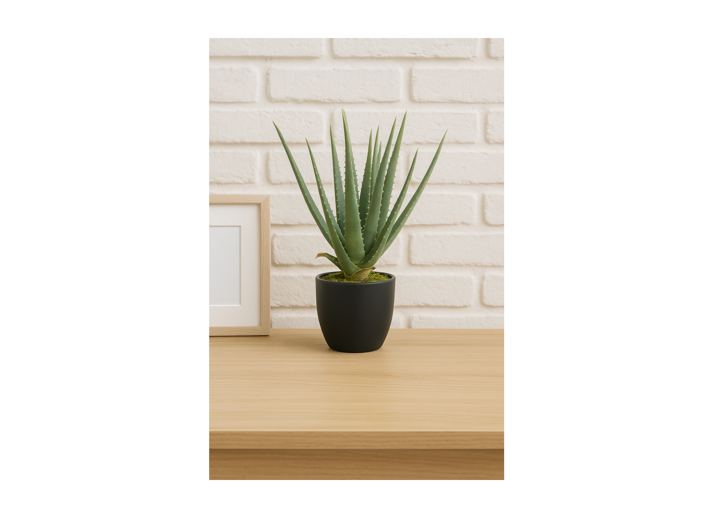 Plante artificielle Aloe H46cm
