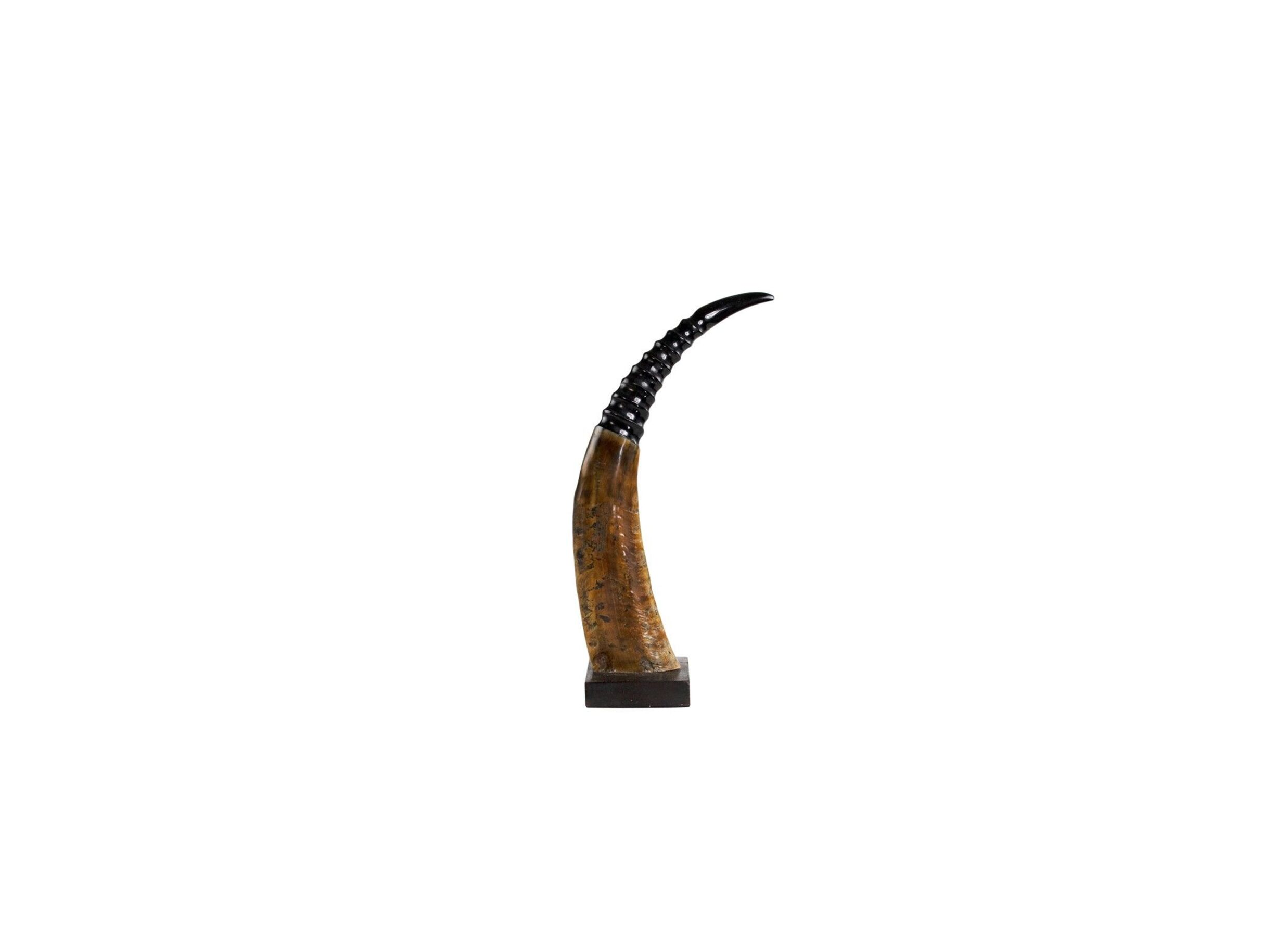 Koehoorn op hout H45cm - Koehoorn op hout H45cm