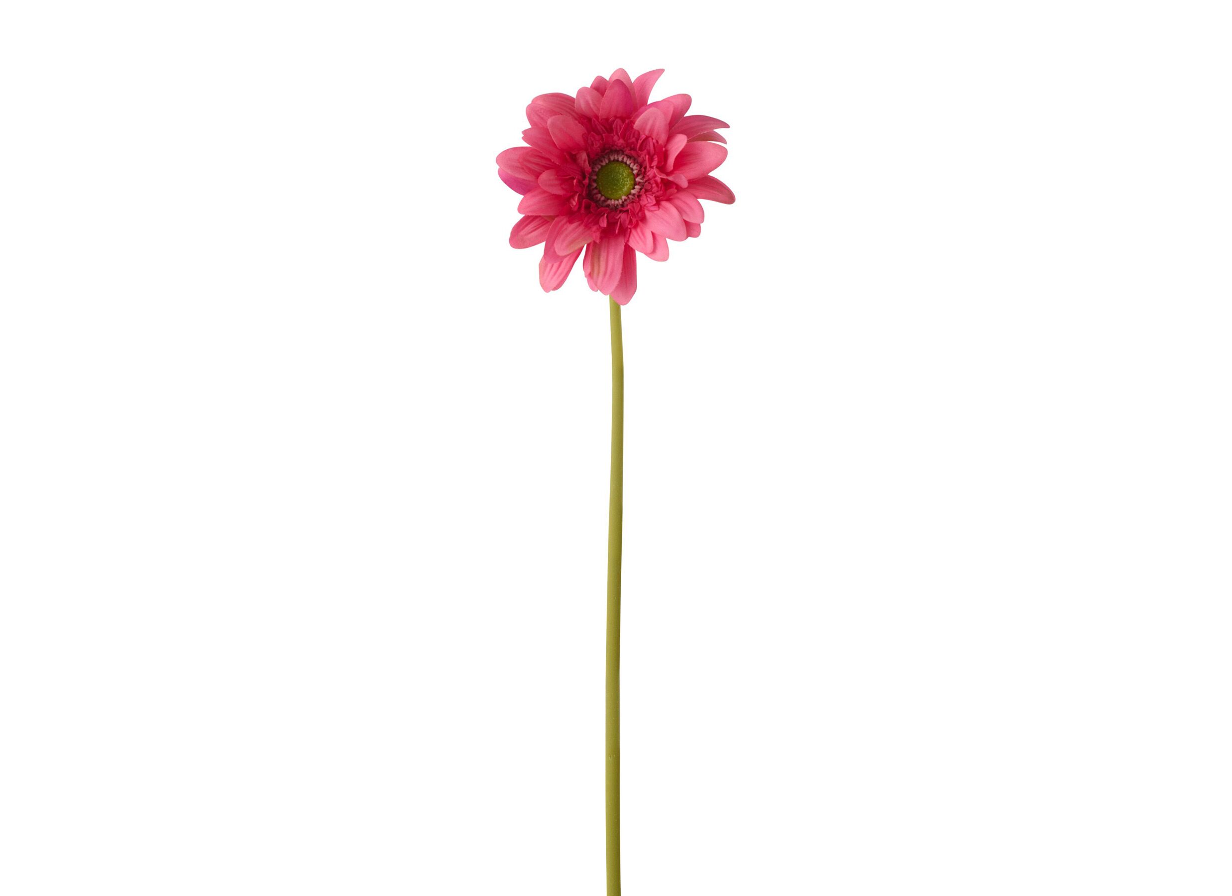 Plus Important - Fleur artificielle Gerbera H65cm - plastique & tissu - rose