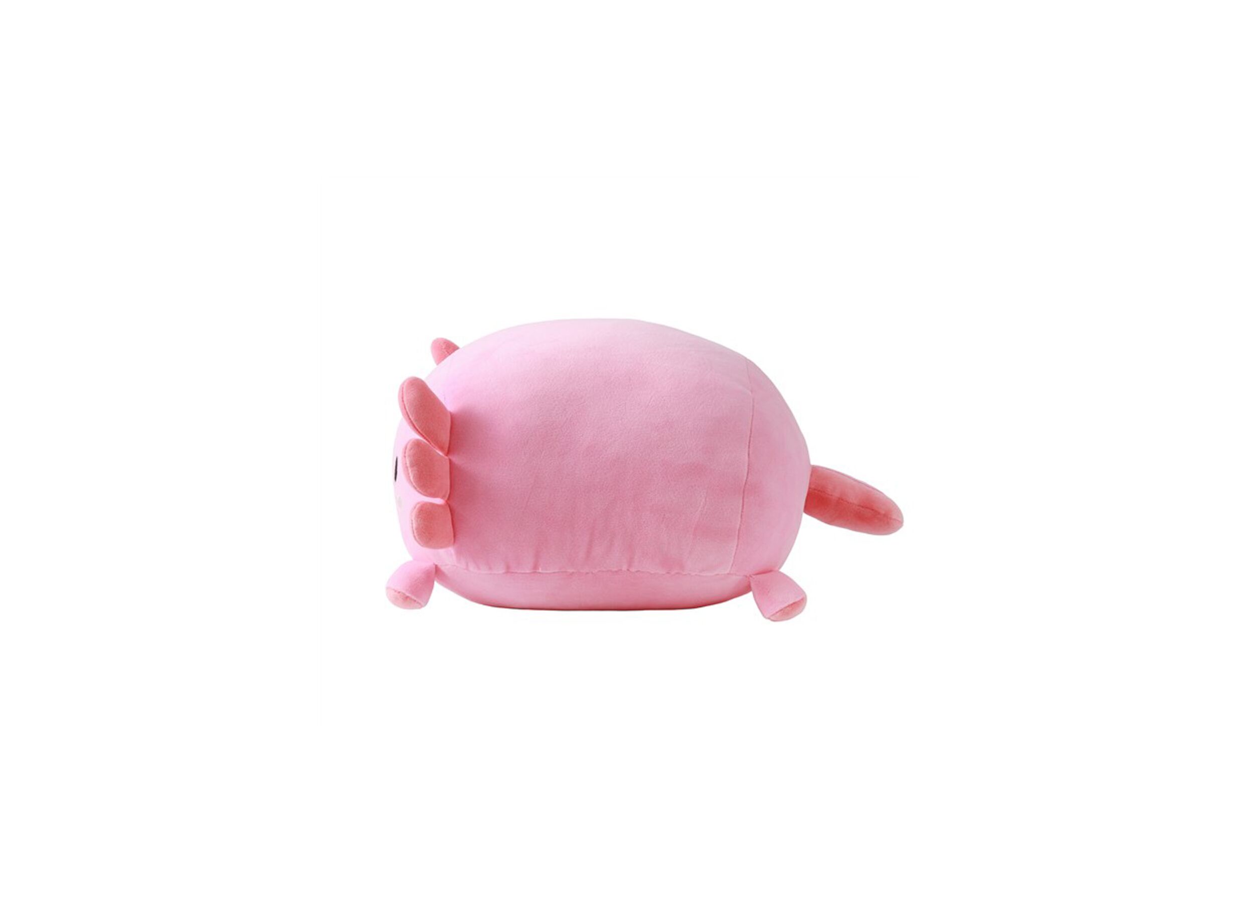 Overzichtsfoto - Knuffel Axolutely