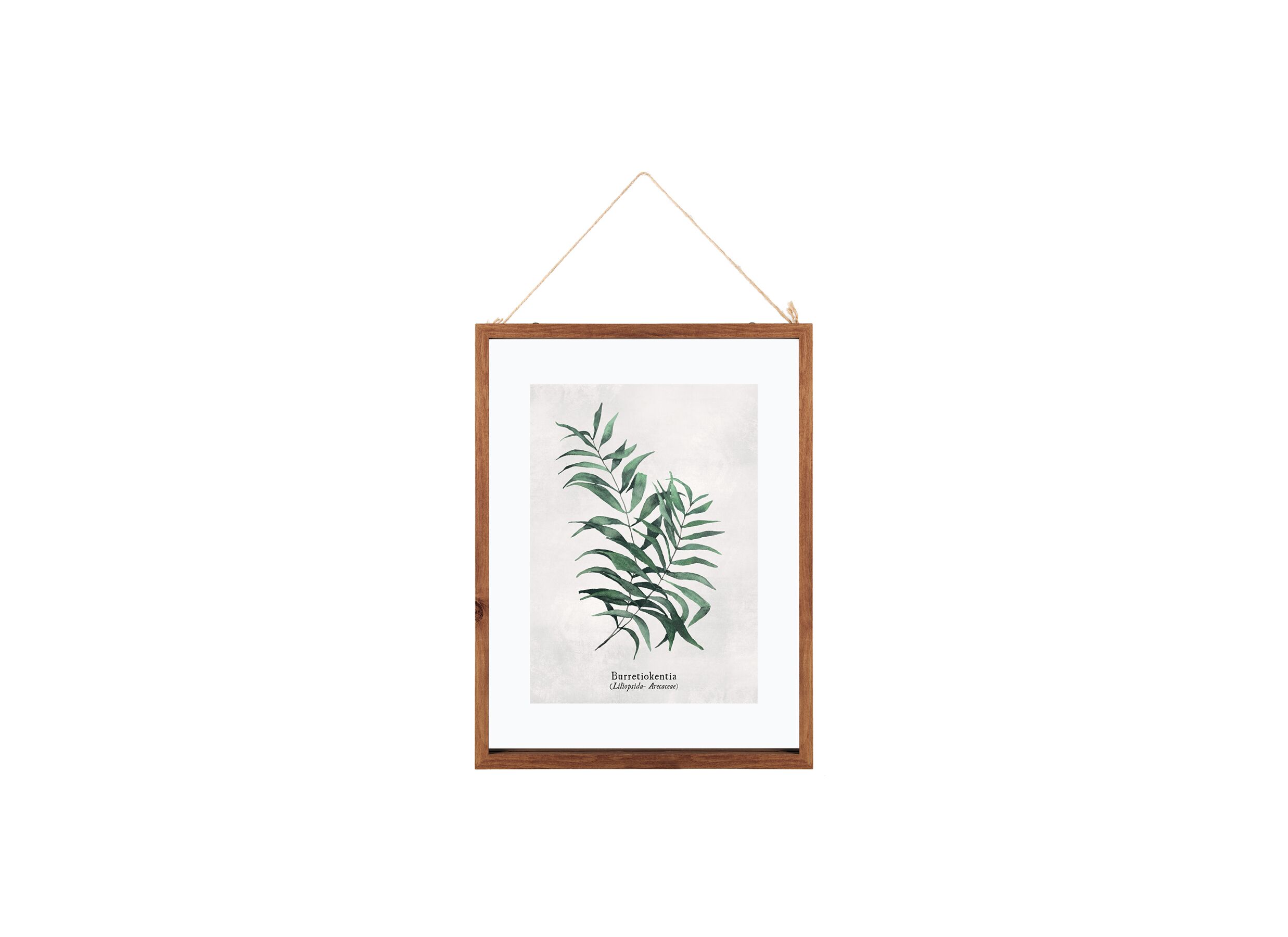 Fotokader 40x30cm - glas - bruin & groen