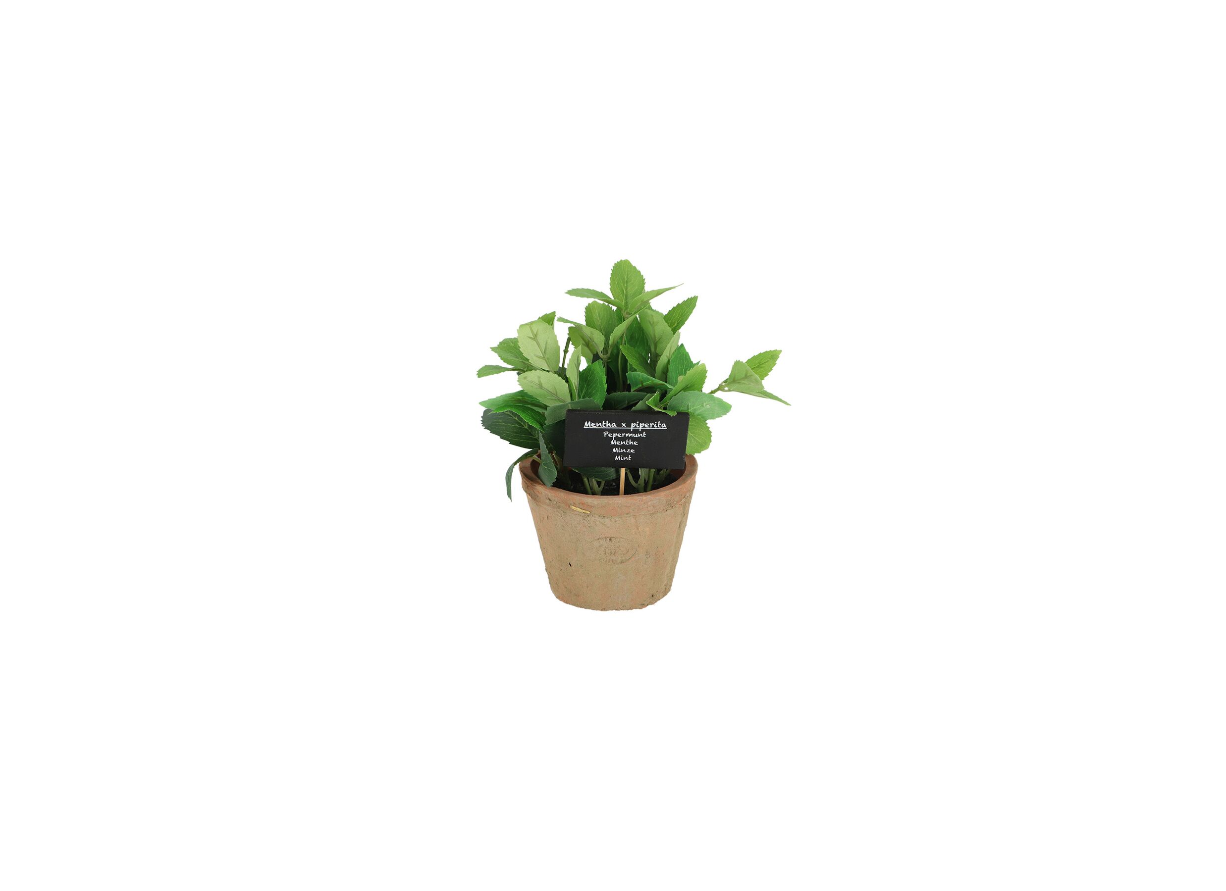 Kunstplant Munt H20cm - Plante artificielle Munt H20cm