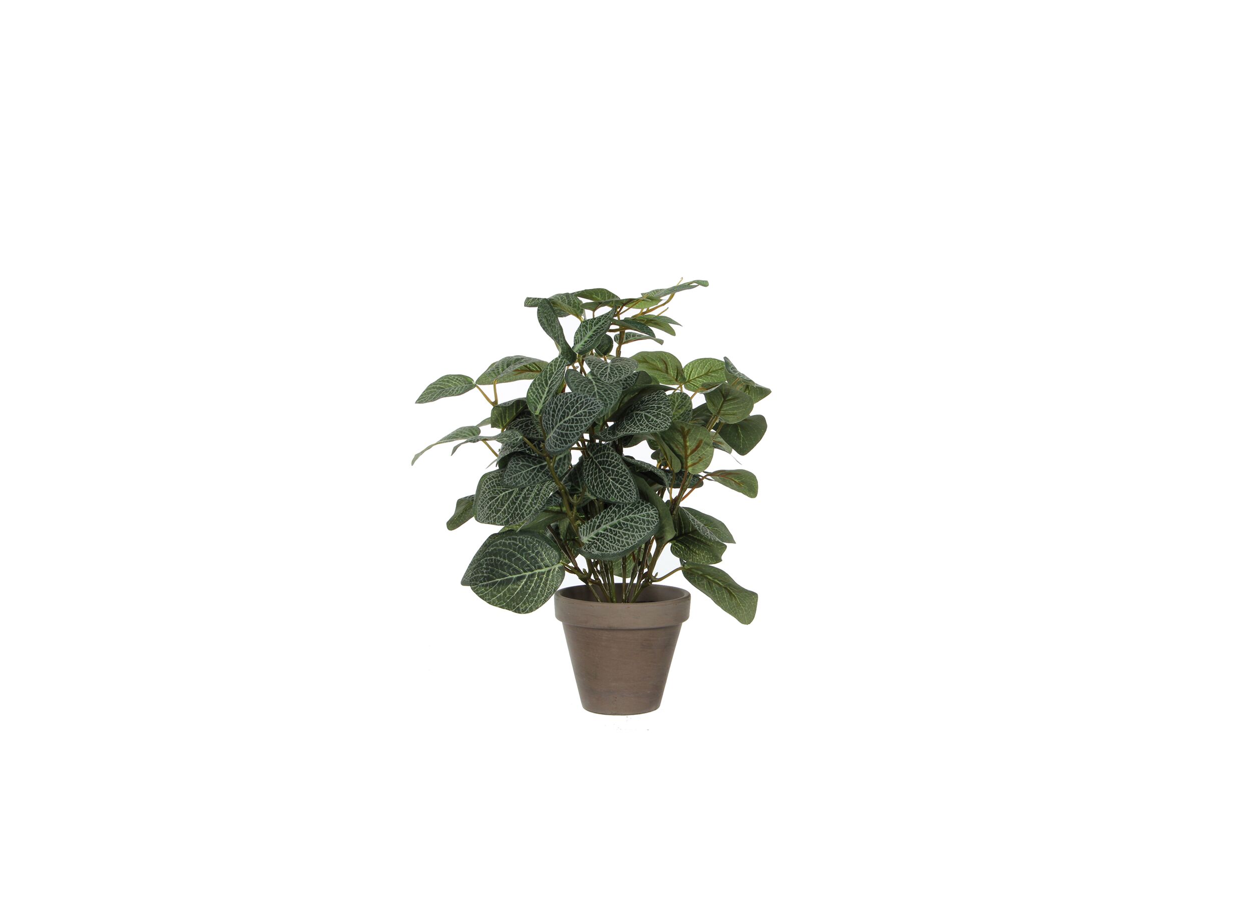 Kunstplant Pilea + pot Stan H35cm