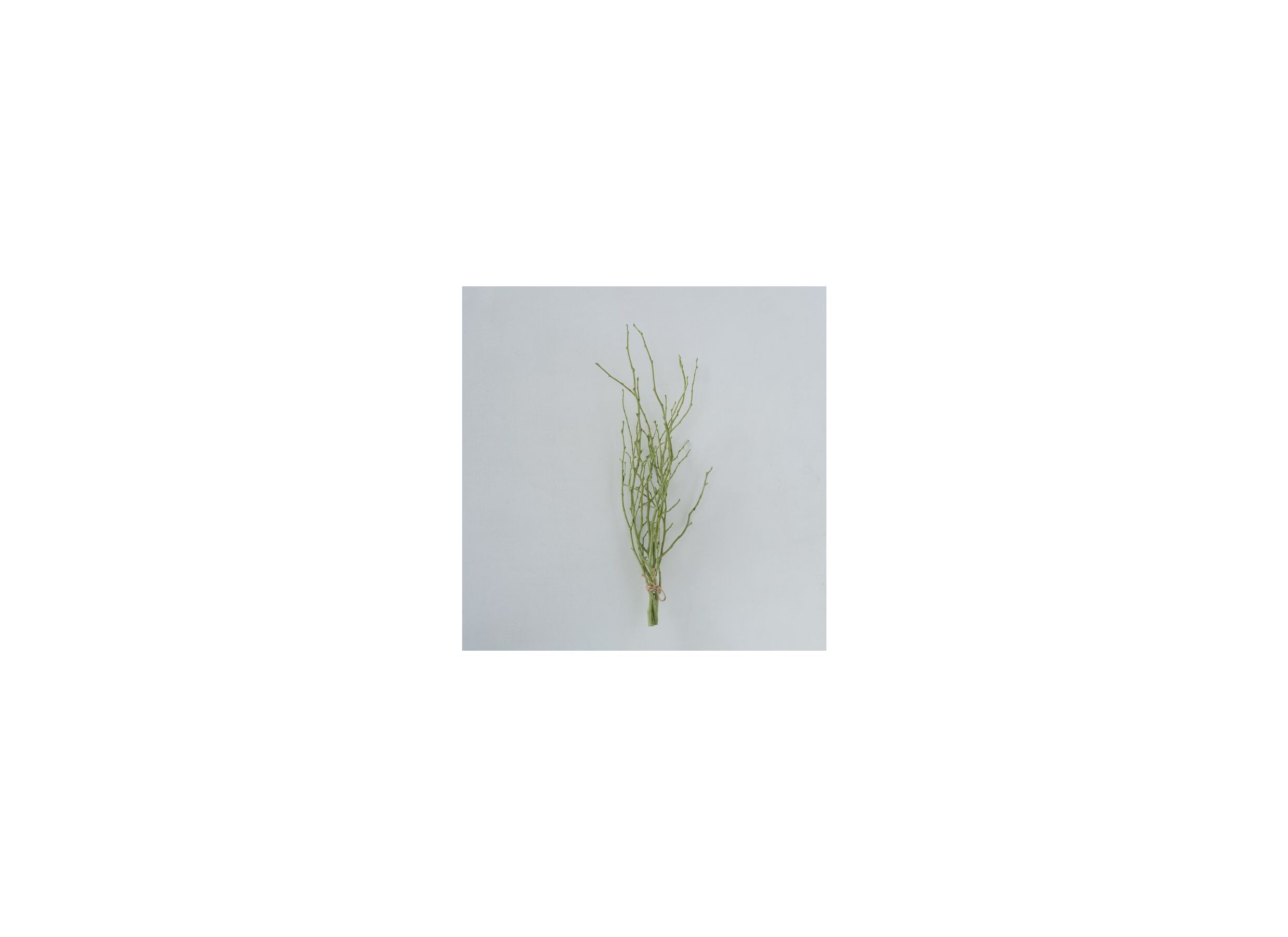 Overzichtsfoto - Decoratietak Twiggy H50cm