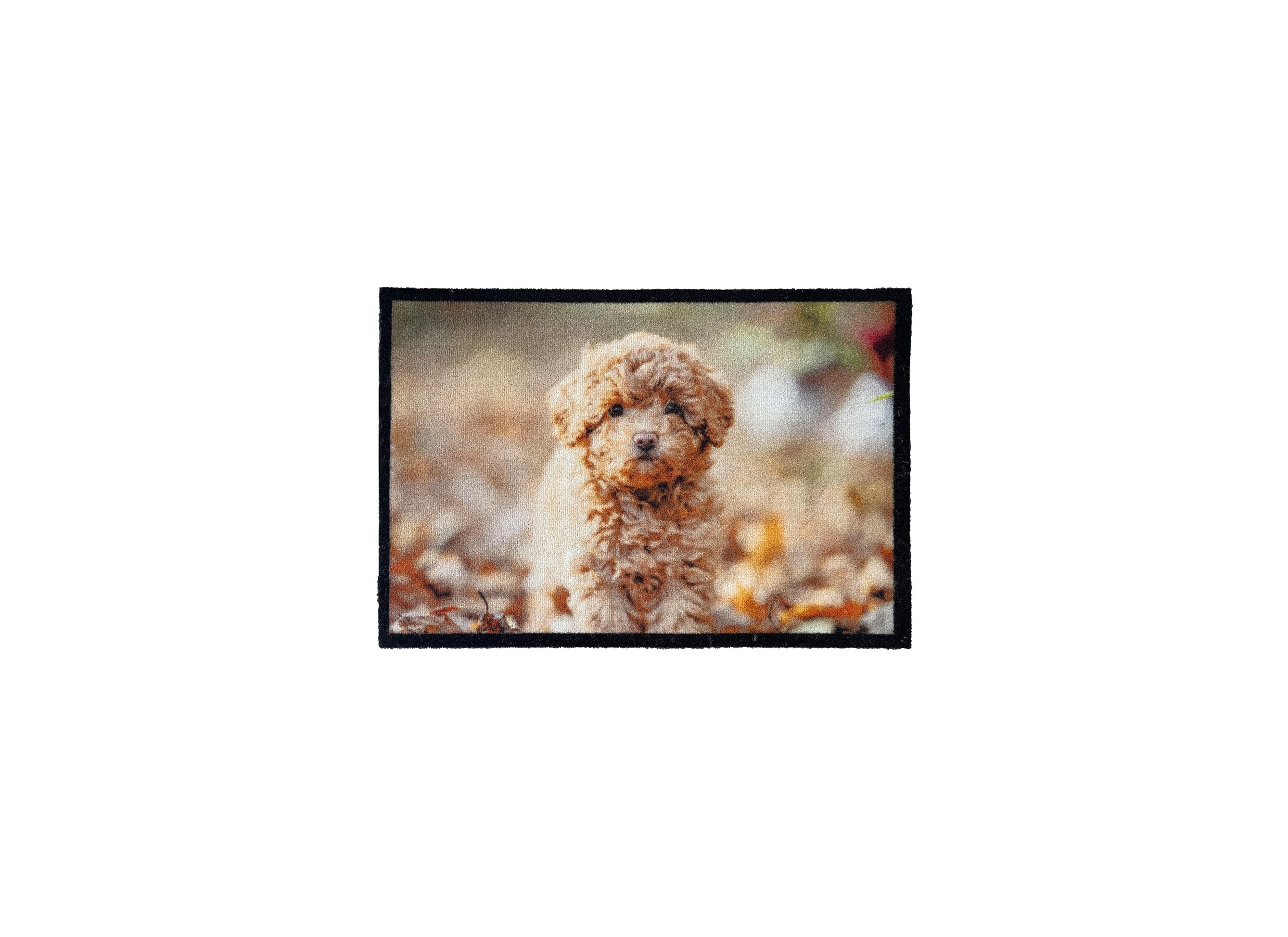 Deurmat Atrium Cute Poodle 60x40cm nylon multicolor