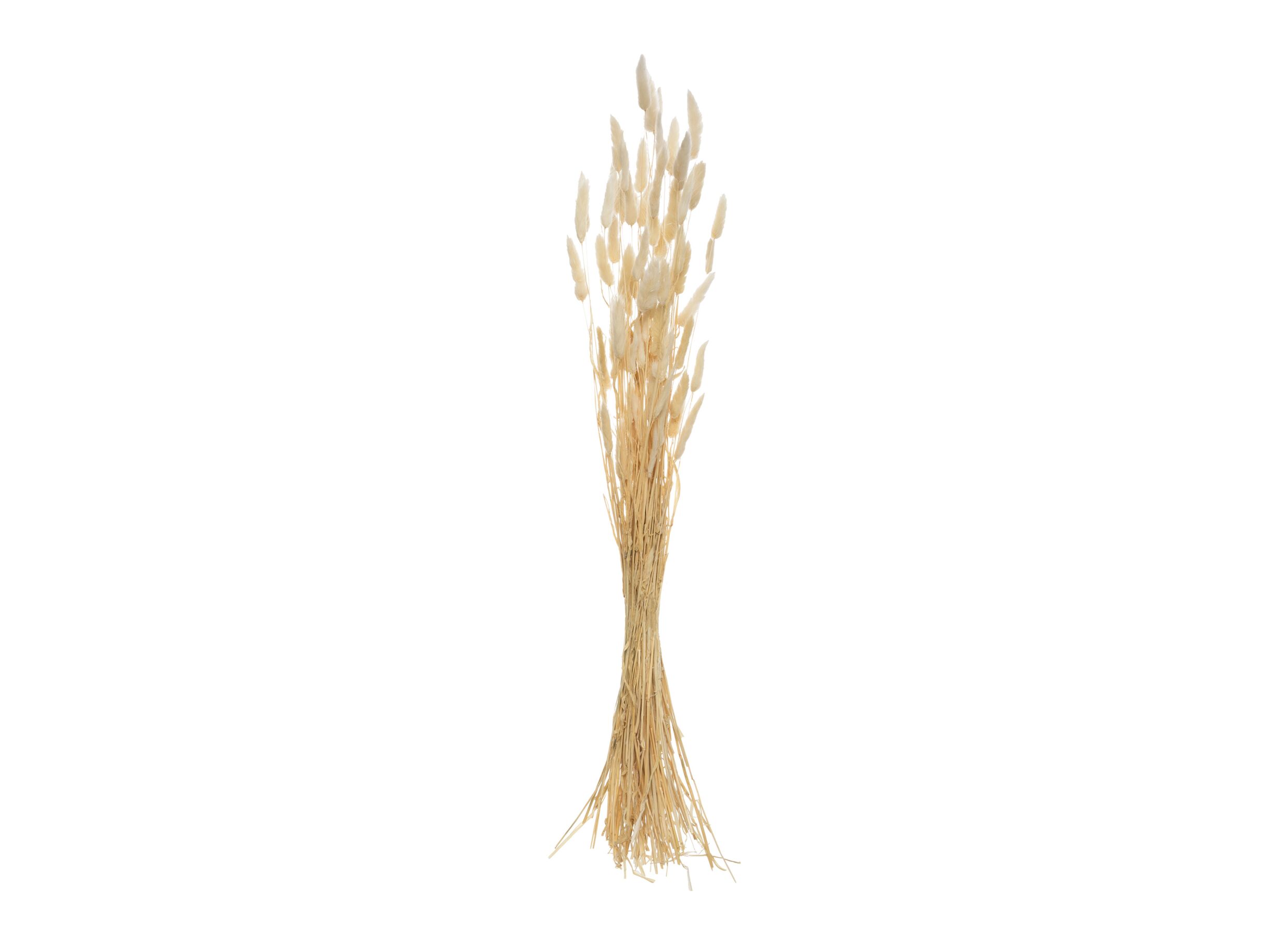 Bouquet de fleurs séchées H78cm - Bouquet de fleurs séchées H78cm