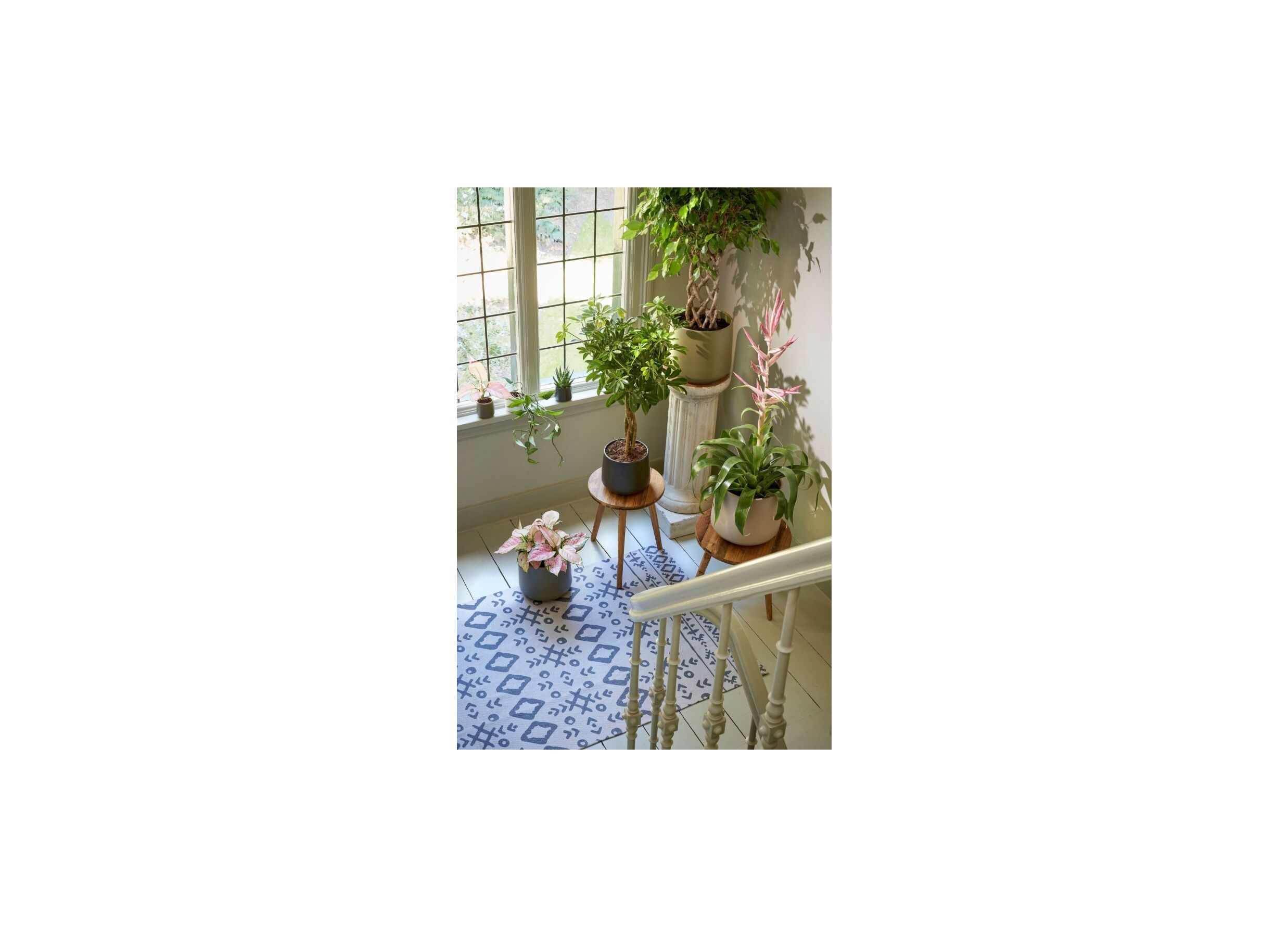 Foto ambiance - Cache-pot Amber H26cm