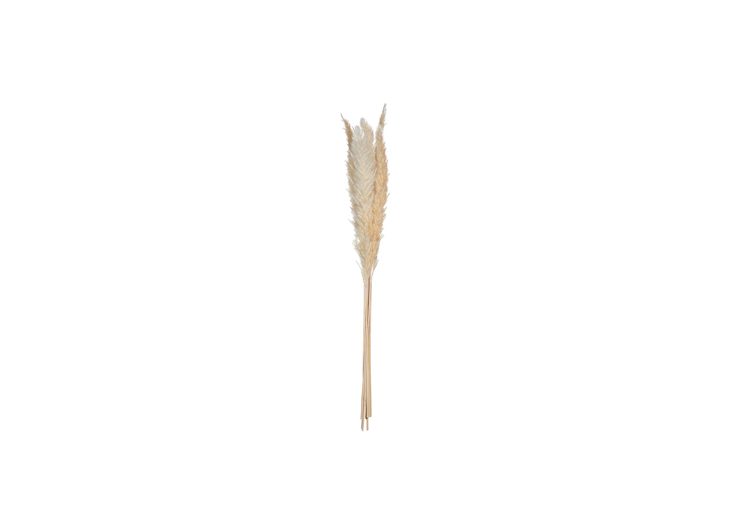 Decoratietak Pampa H65cm