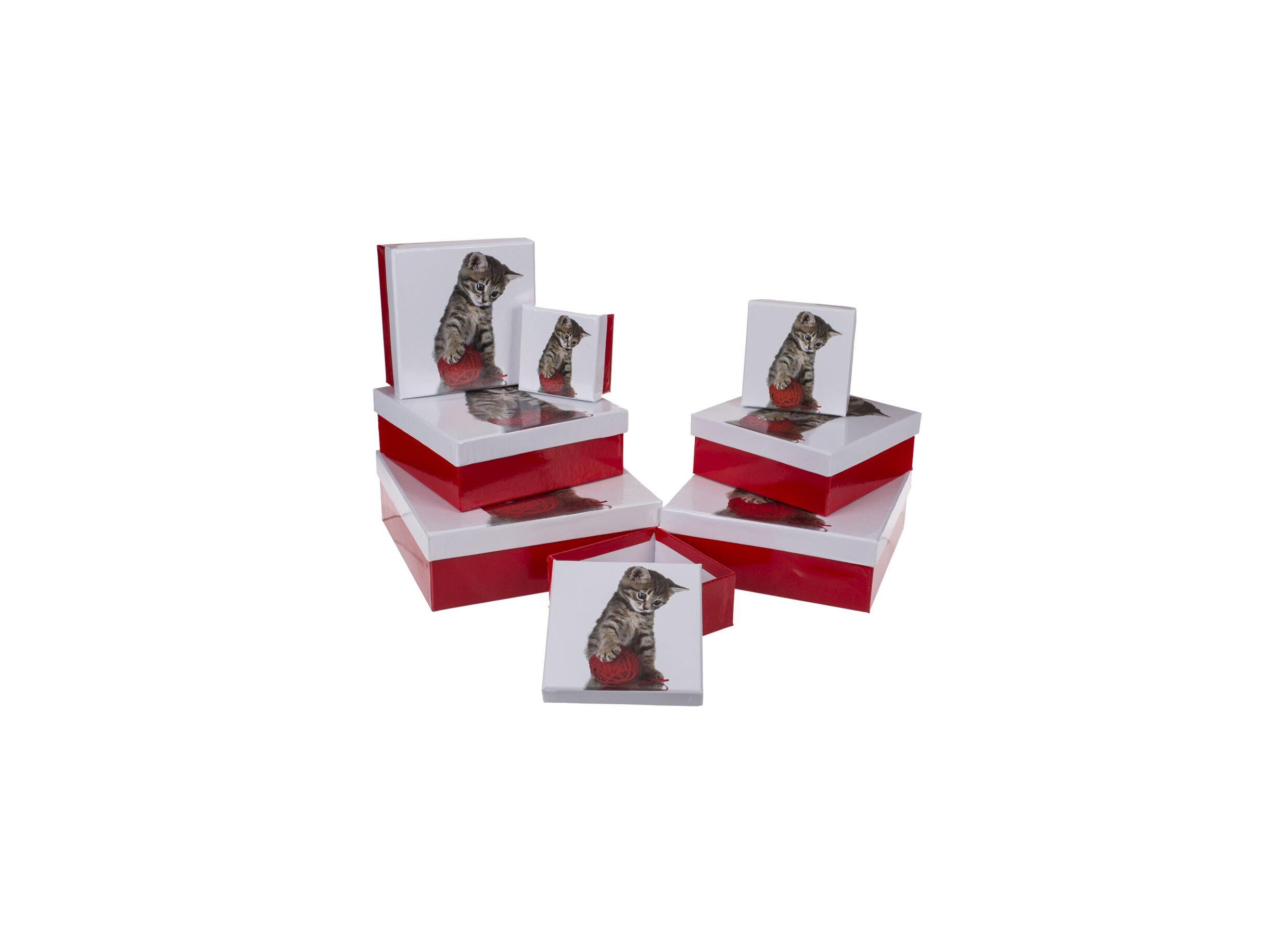 Hoofdfoto - Giftbox Cat - karton - rood/wit set van 8