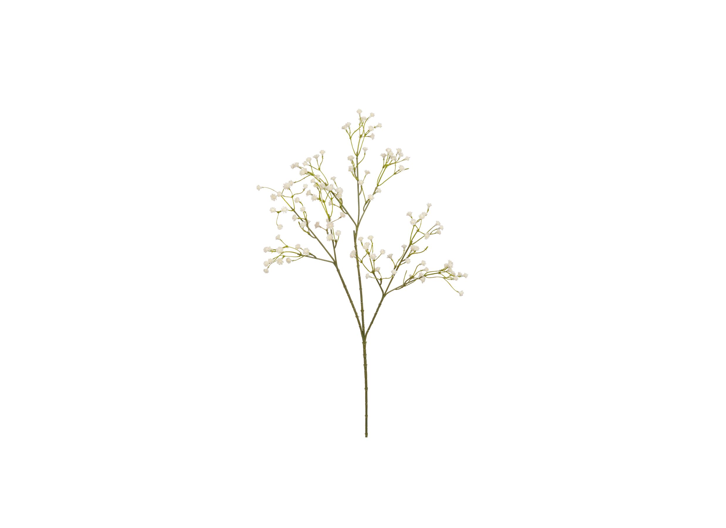 Decoratietak Gibskruid H60cm