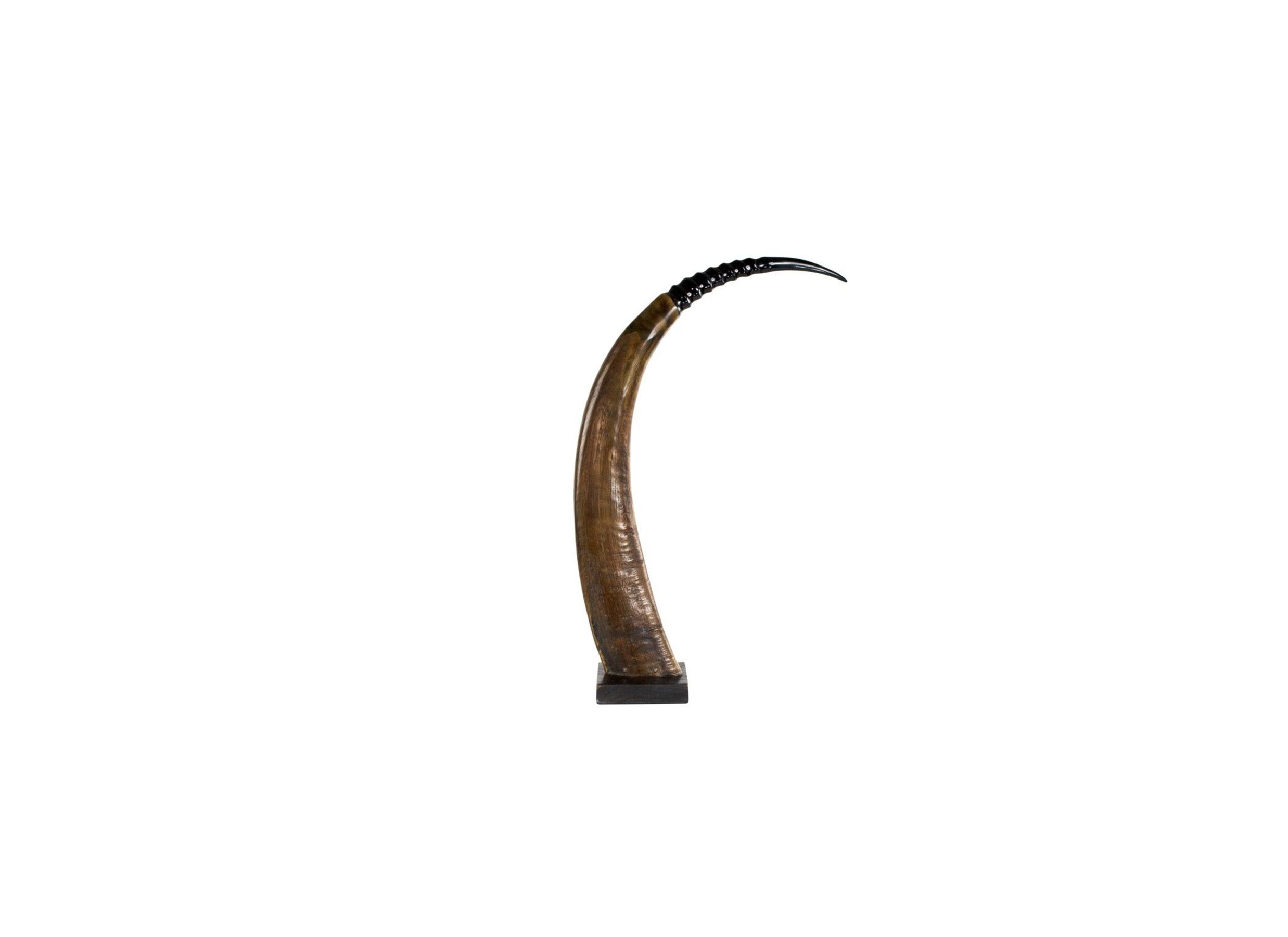 Hoorn op hout H65cm - Hoorn op hout H65cm