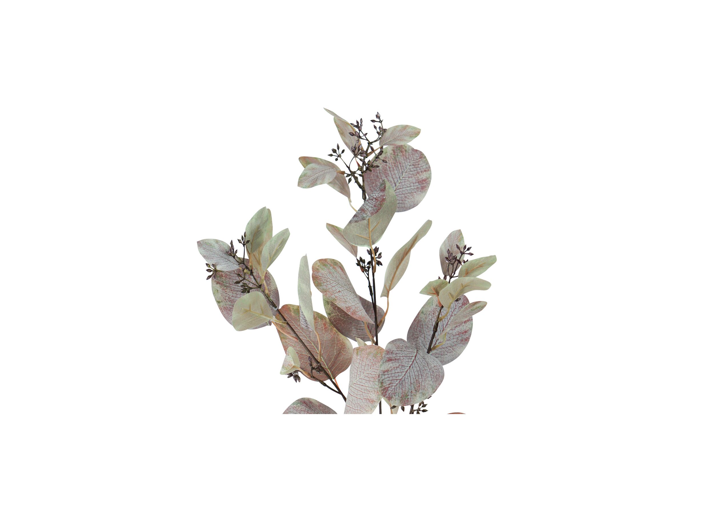 Indeling - Decoratietak Eucalyptus H90cm