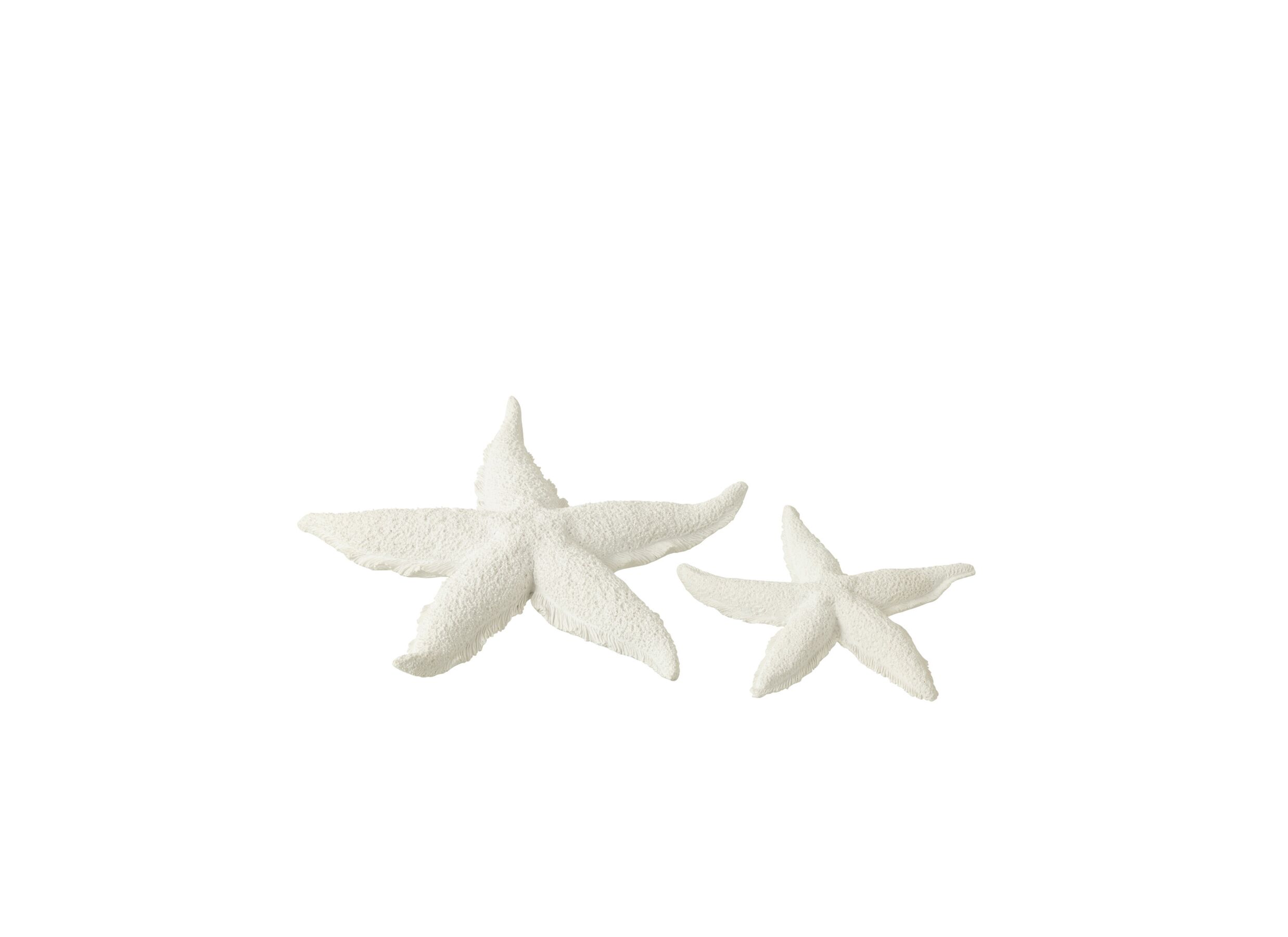 Setfoto - Deco Zeester Ø20cm - polystone - wit