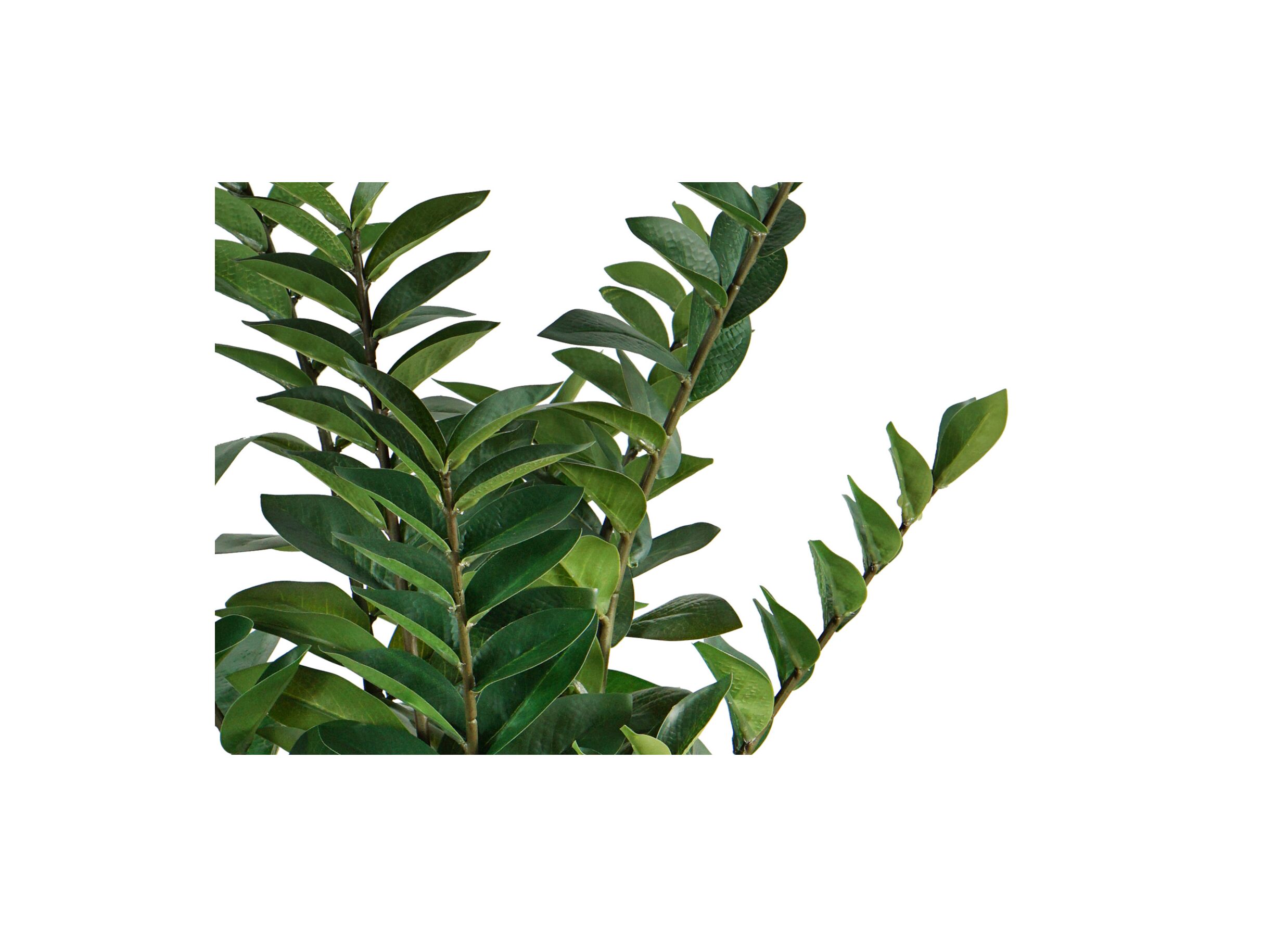 Detail - Plante artificielle Zamio H90cm
