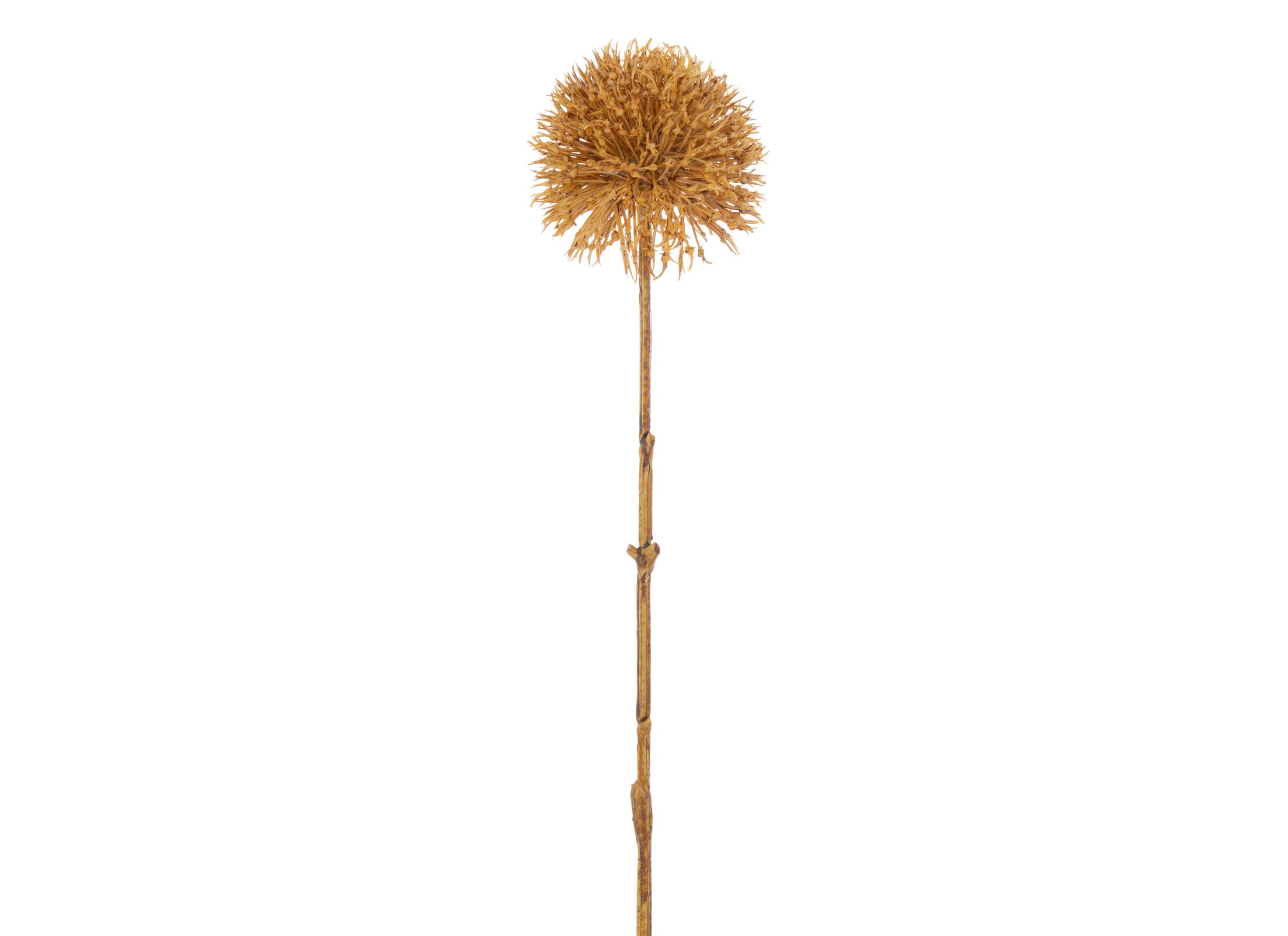 Plus Important - Fleur artificielle Allium H48cm - plastique - ocre