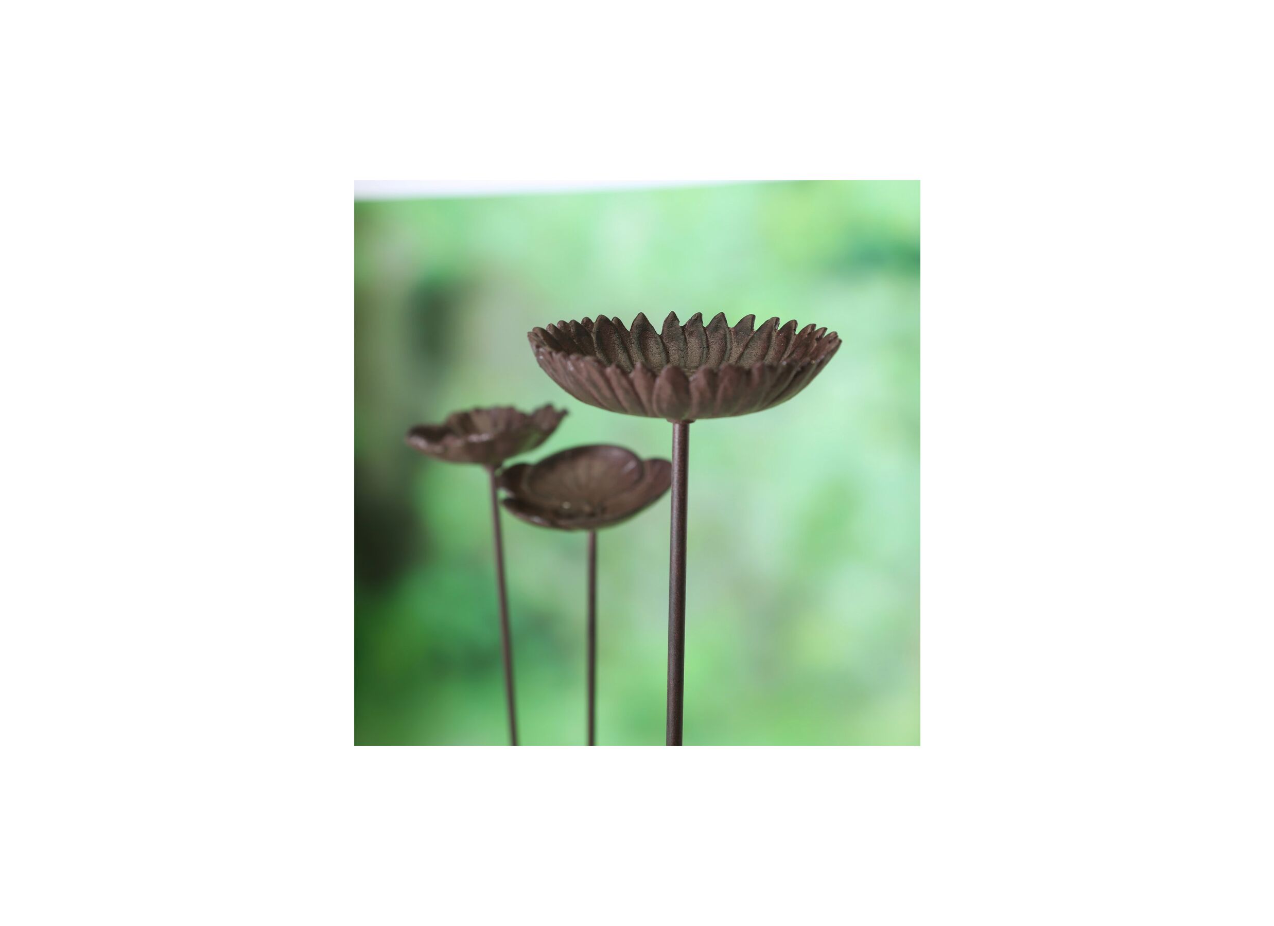 Foto ambiance - Bain d'oiseaux Blume H75cm - fonte - brun