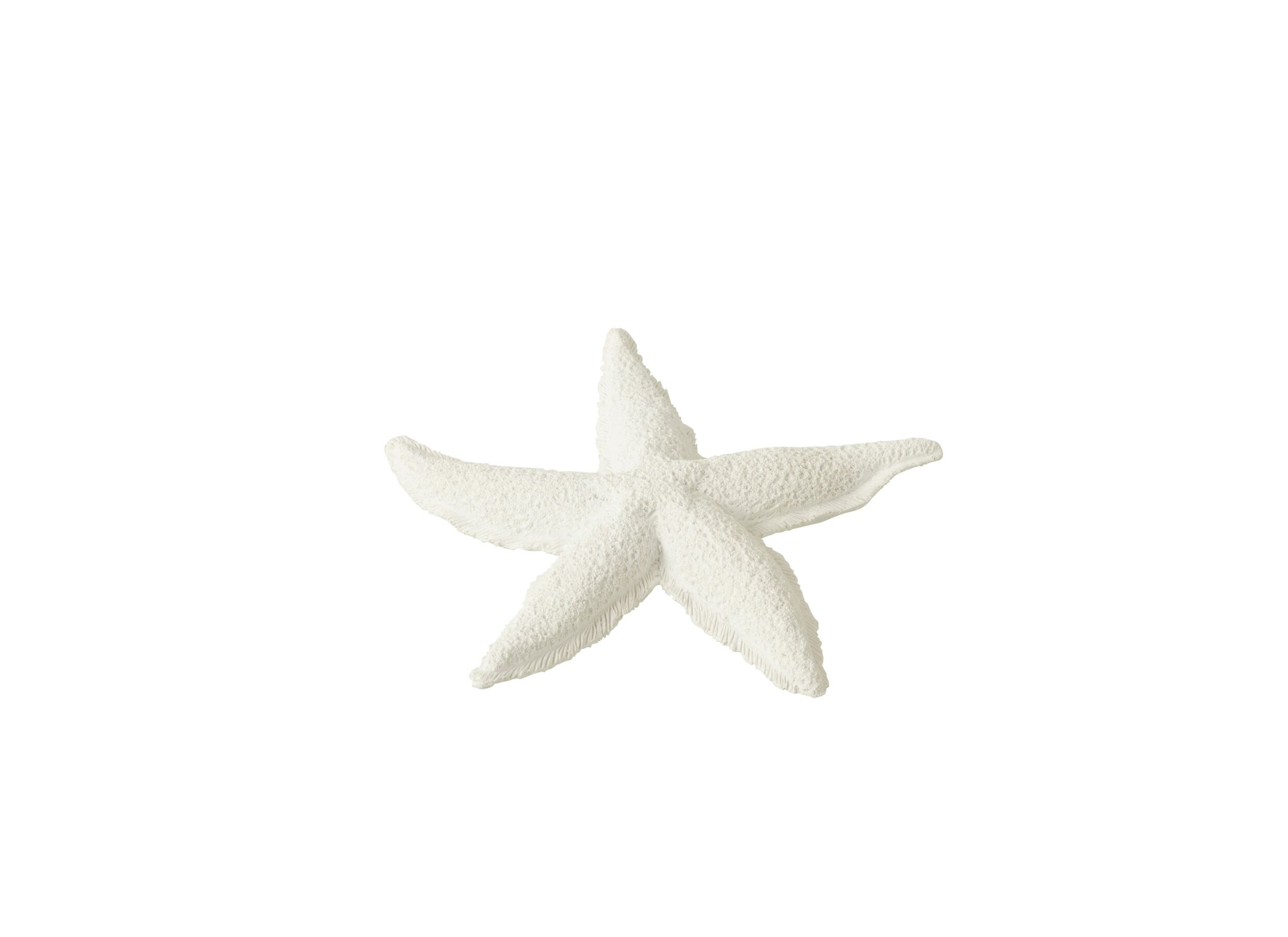 Hoofdfoto - Deco Zeester Ø20cm - polystone - wit