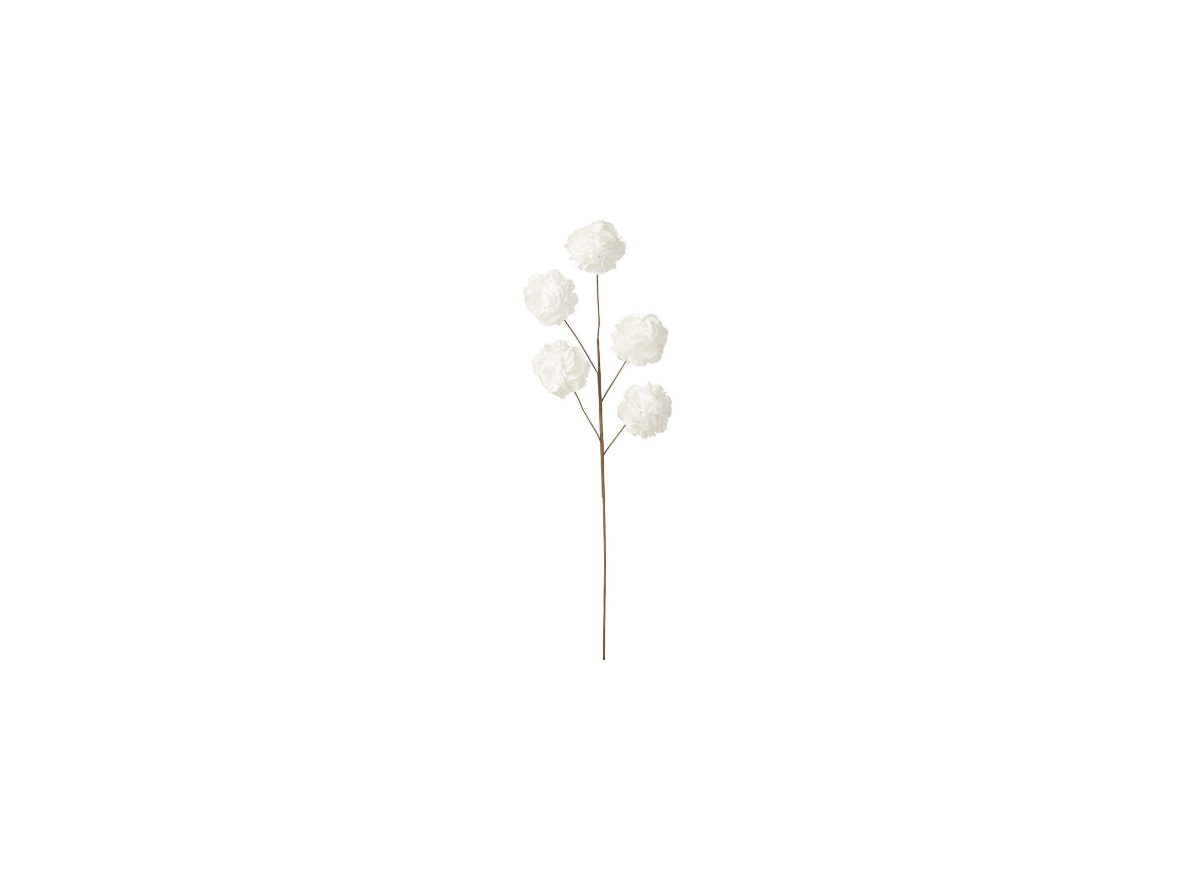 Hoofdfoto - Decoratietak 5 Pompoms Eva H86cm - kunststof - wit