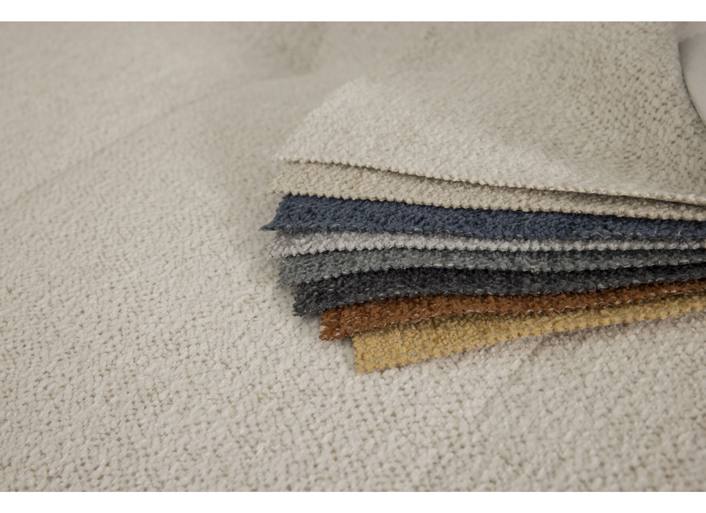 Couleurs - Salon Olivio
