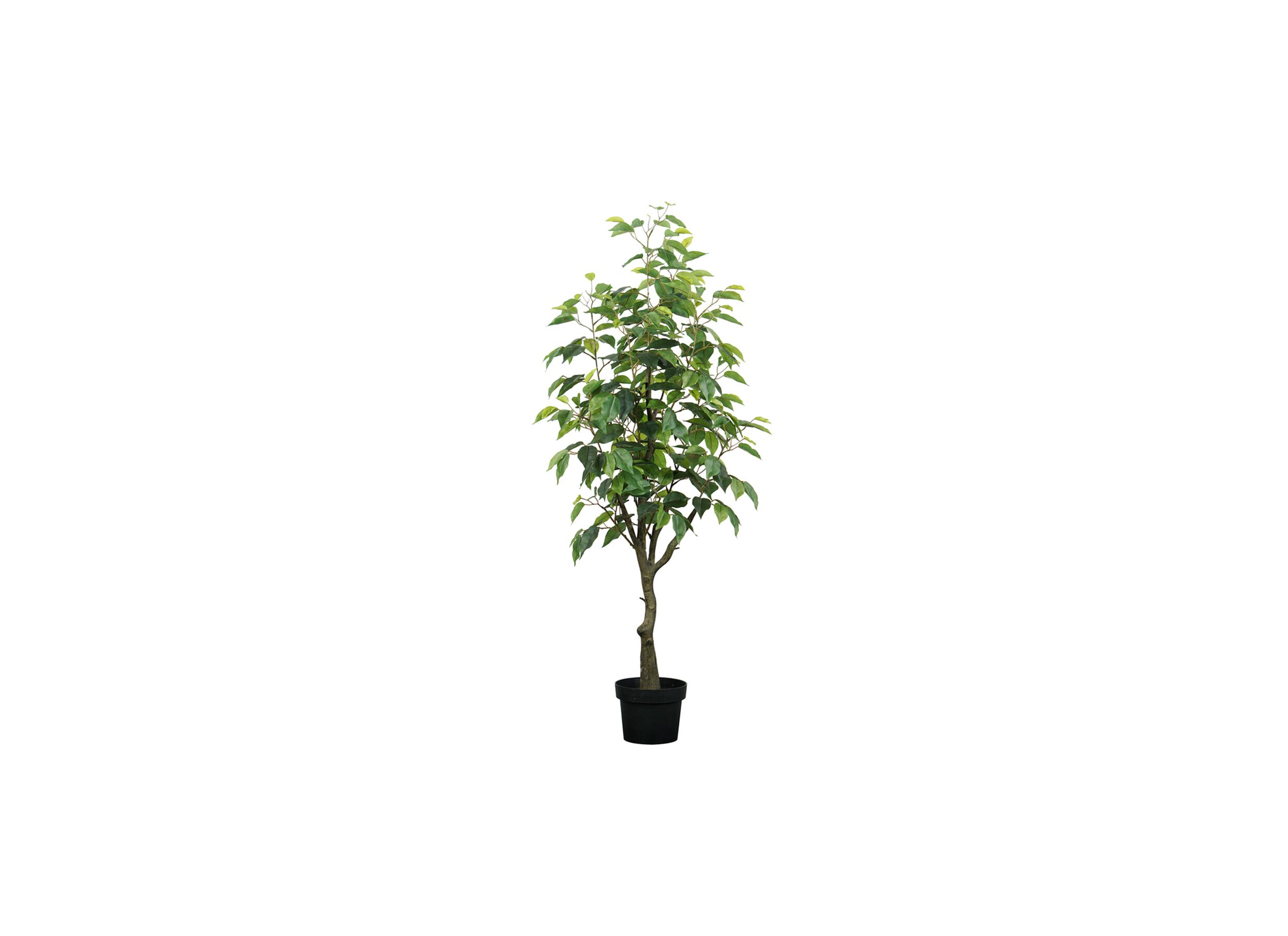 Kunstplant Ficus H120cm