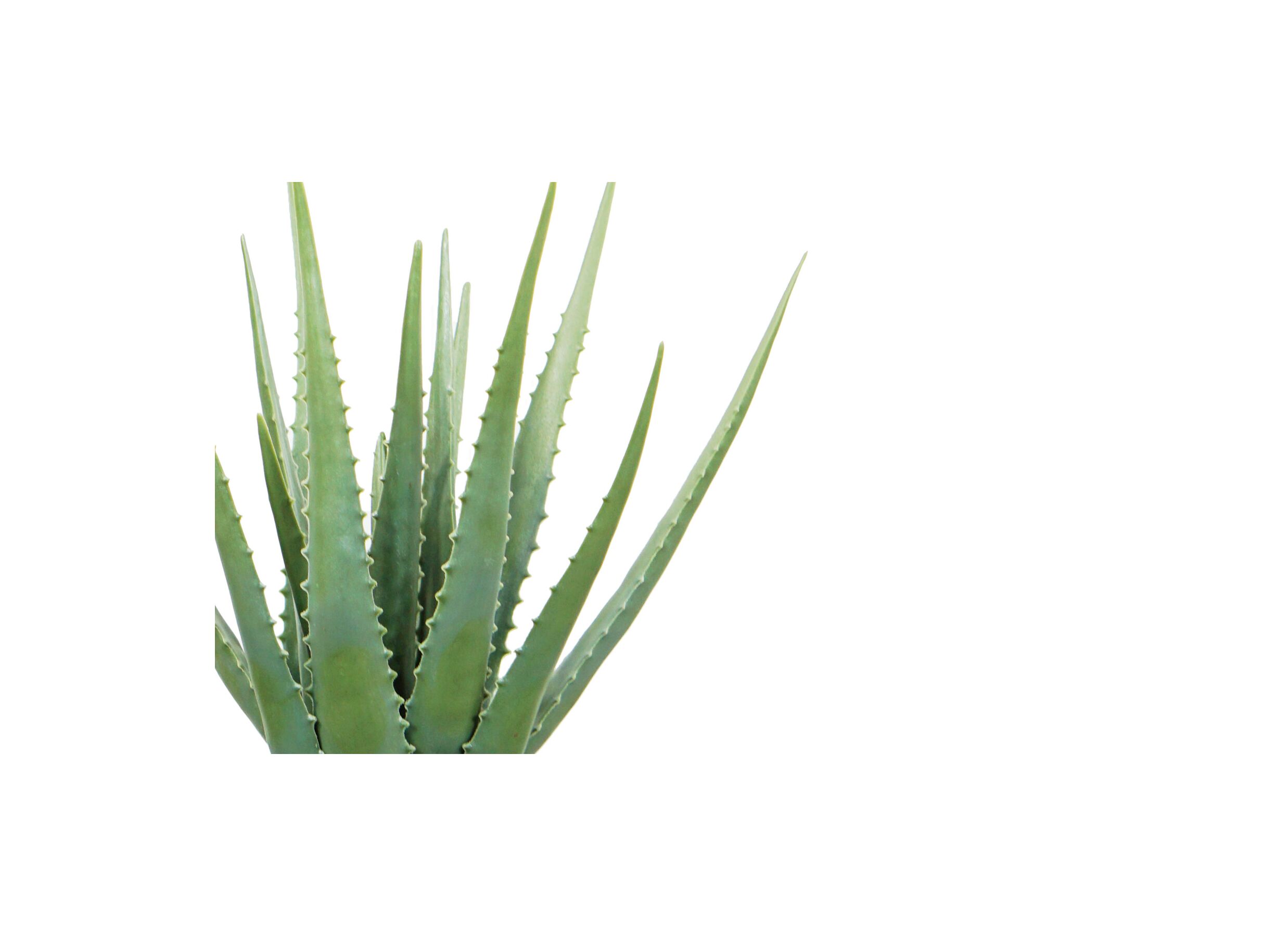 Detail - Plante artificielle Aloe H46cm
