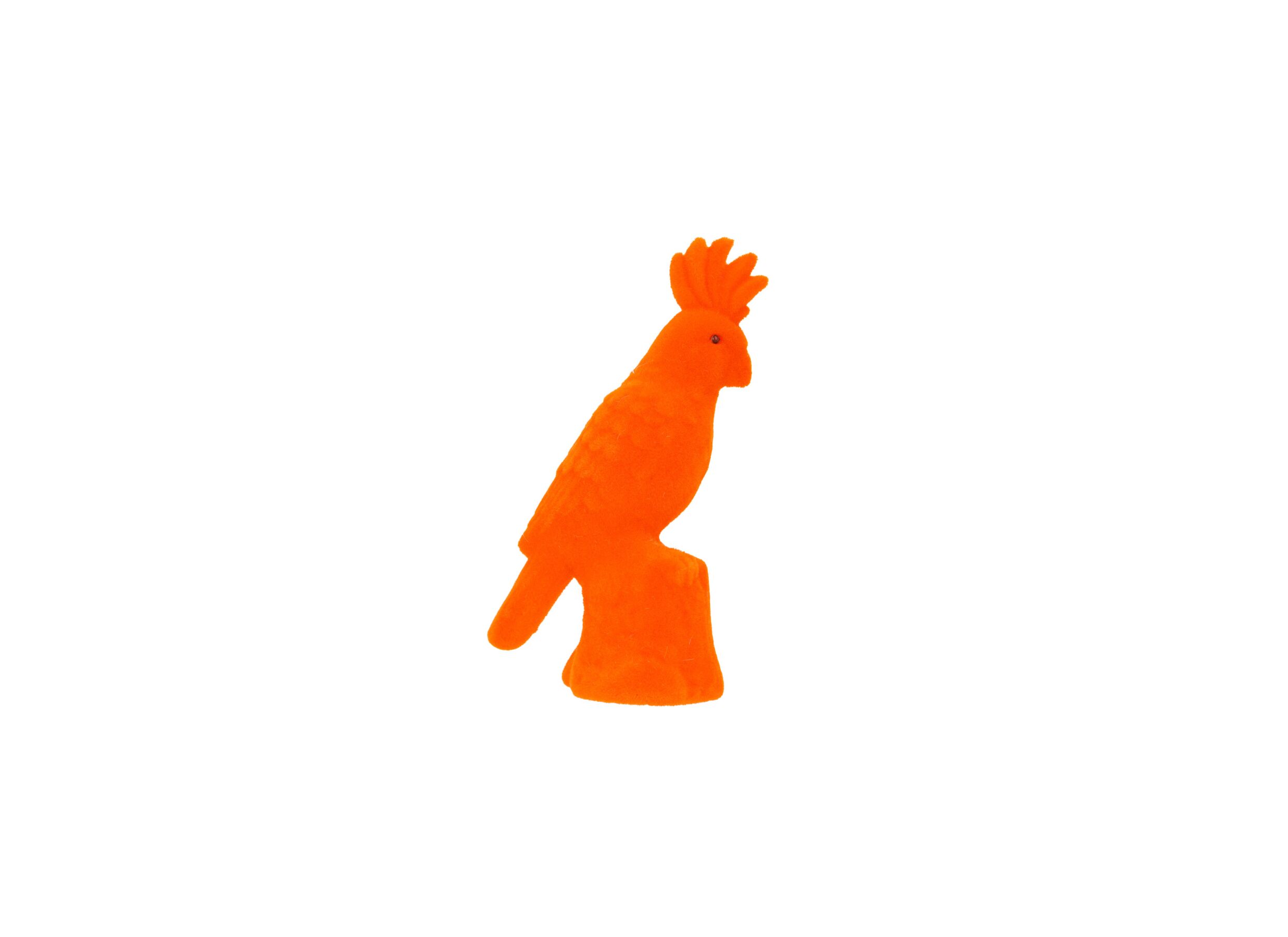 Figuur Papegaai Flocked H15 - Figurine Perroquet Flocked H15,5cm