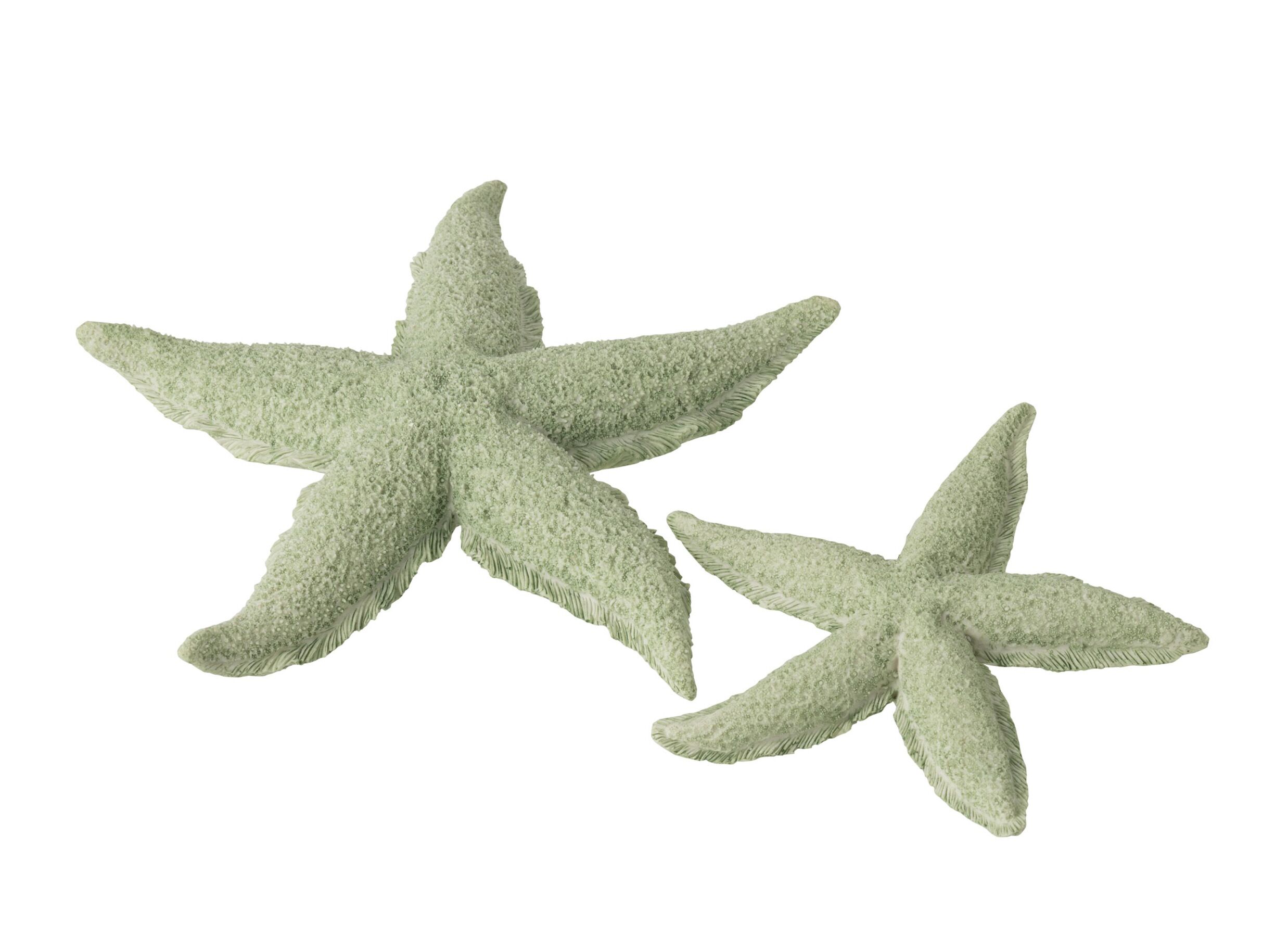 Photo ensemble - Figurine Étoile de Mer 30x30x4cm - polyrésine - vert menthe