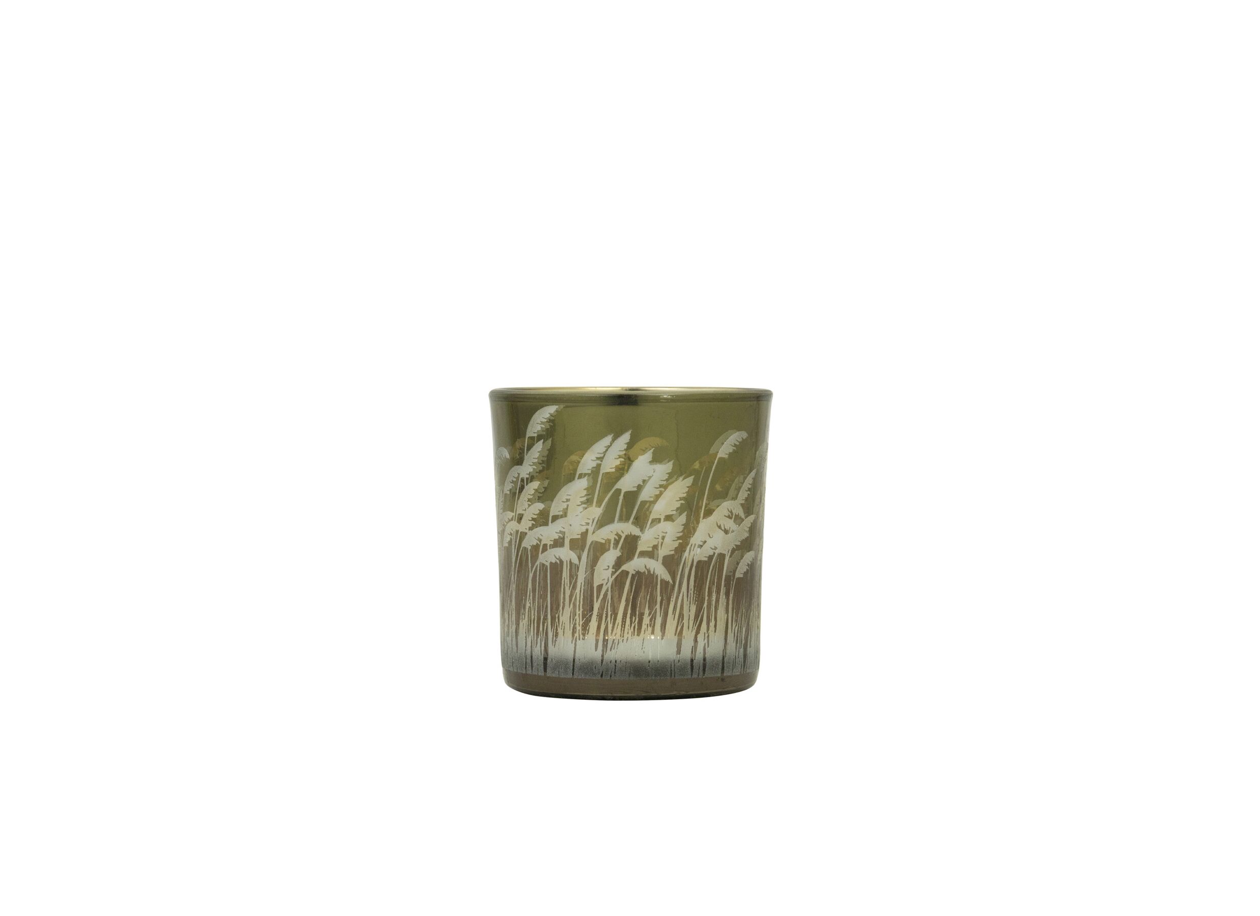 Bougie Palm Grass - Bougie Palm Grass