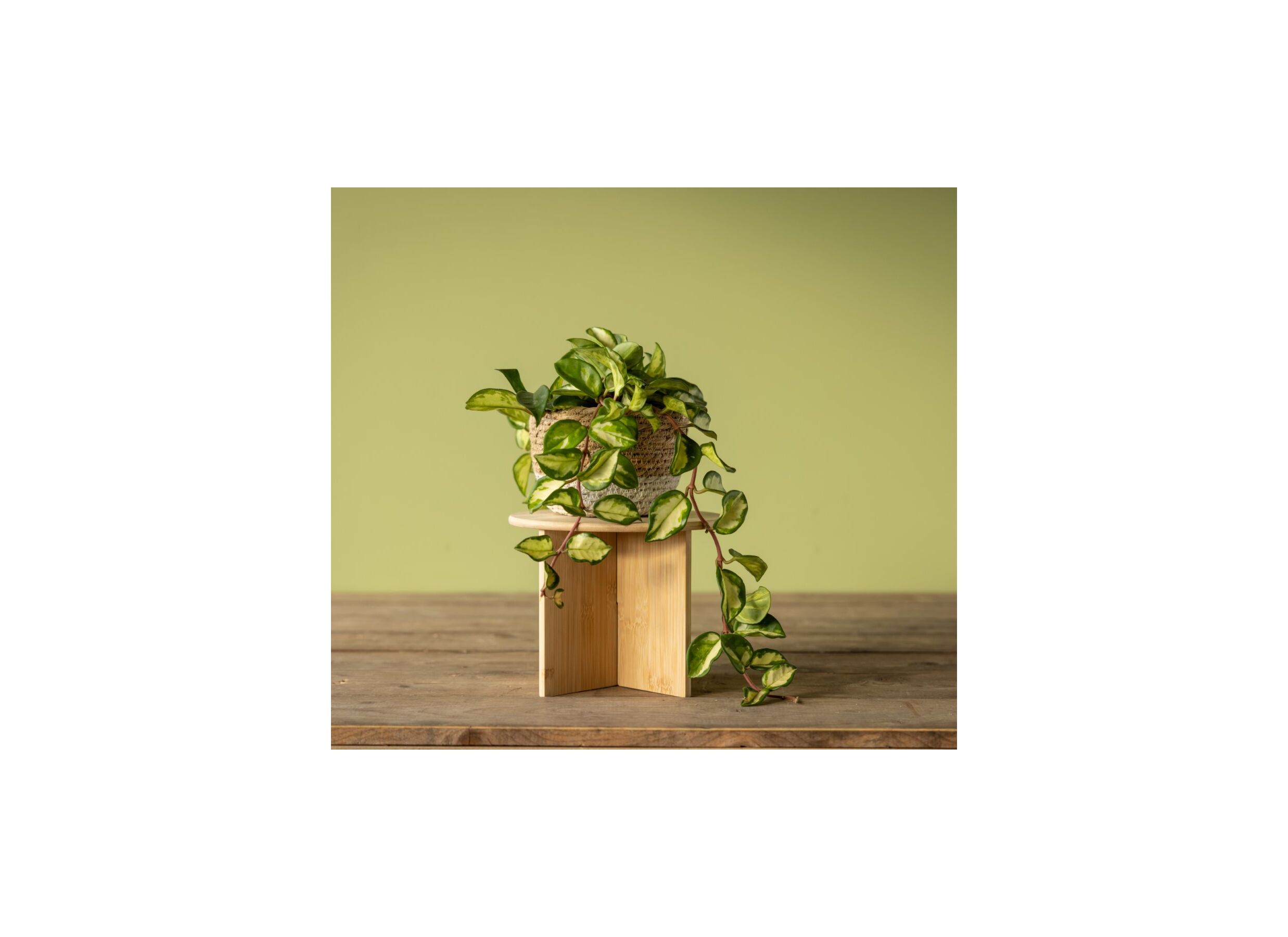 Sfeerfoto - Plantenstandaard Large H19,5cm bamboe naturel
