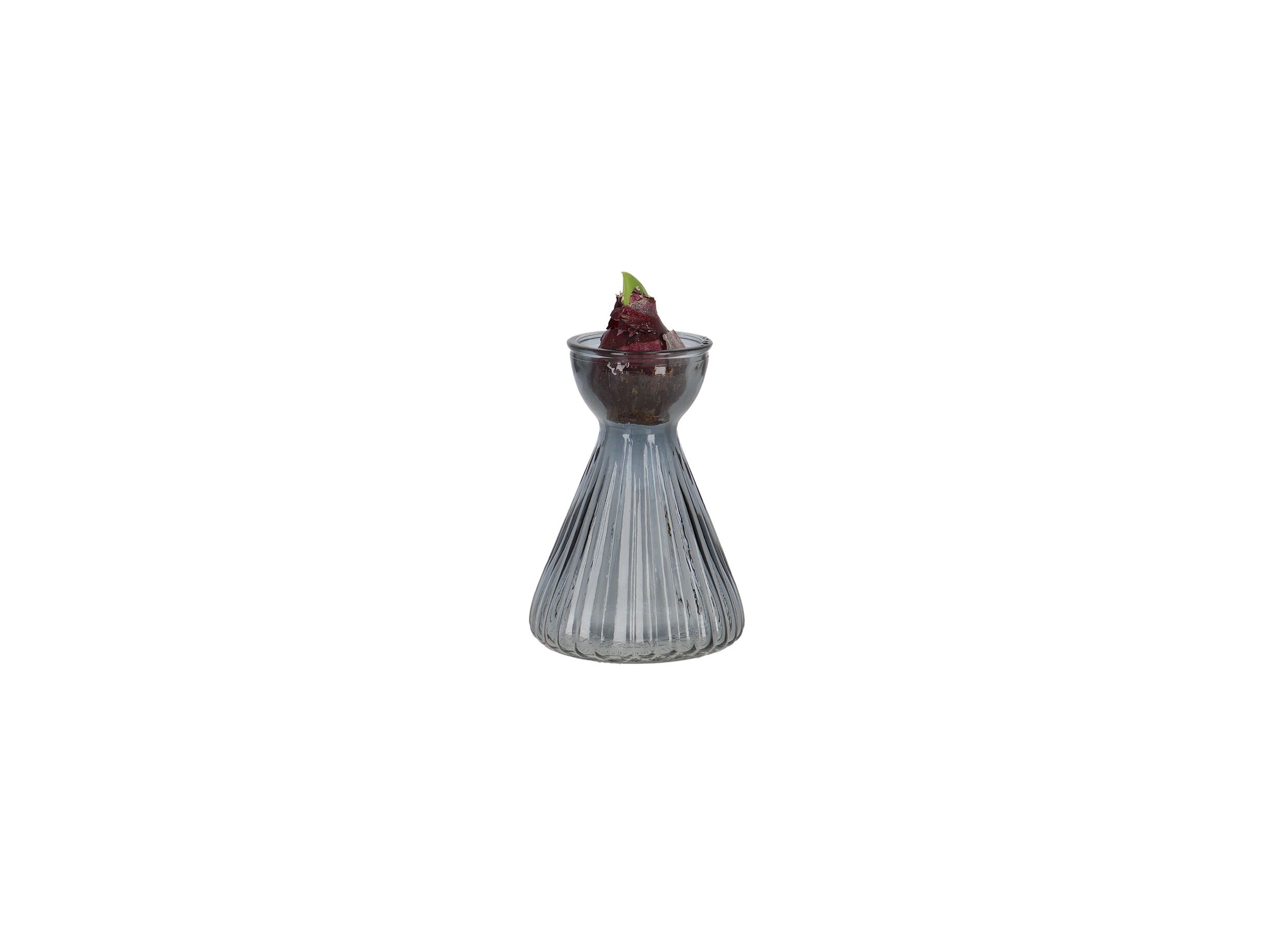 Aperçu - Vase à Bulbe Hyacinthe H12,8cm