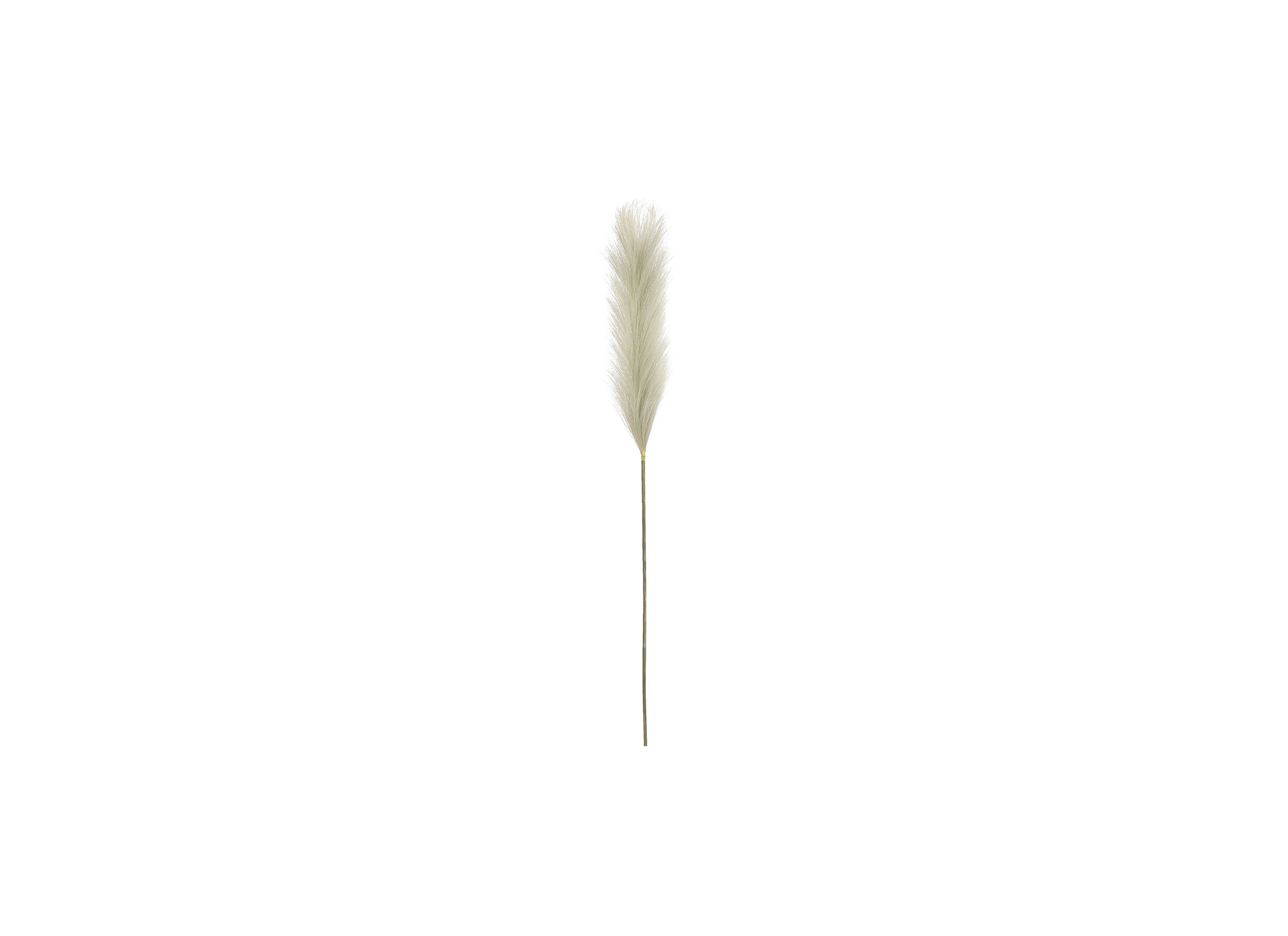 Decoratietak Pluimgras H104cm