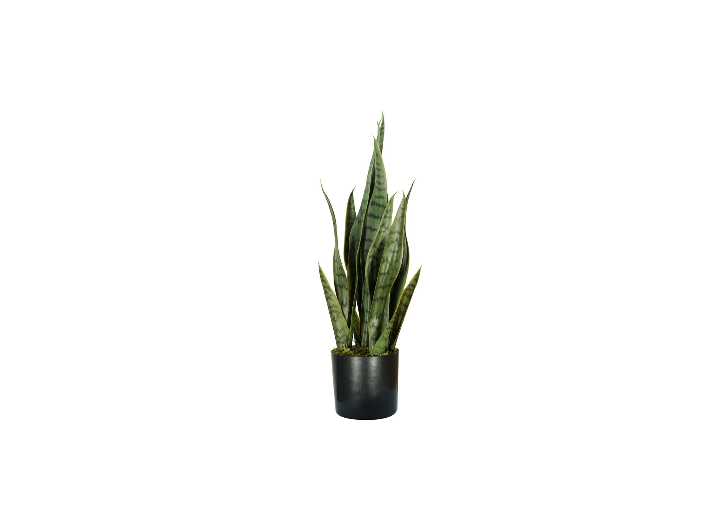 Plante artificielle Sansevieria H58cm - Plante artificielle Sansevieria H58cm