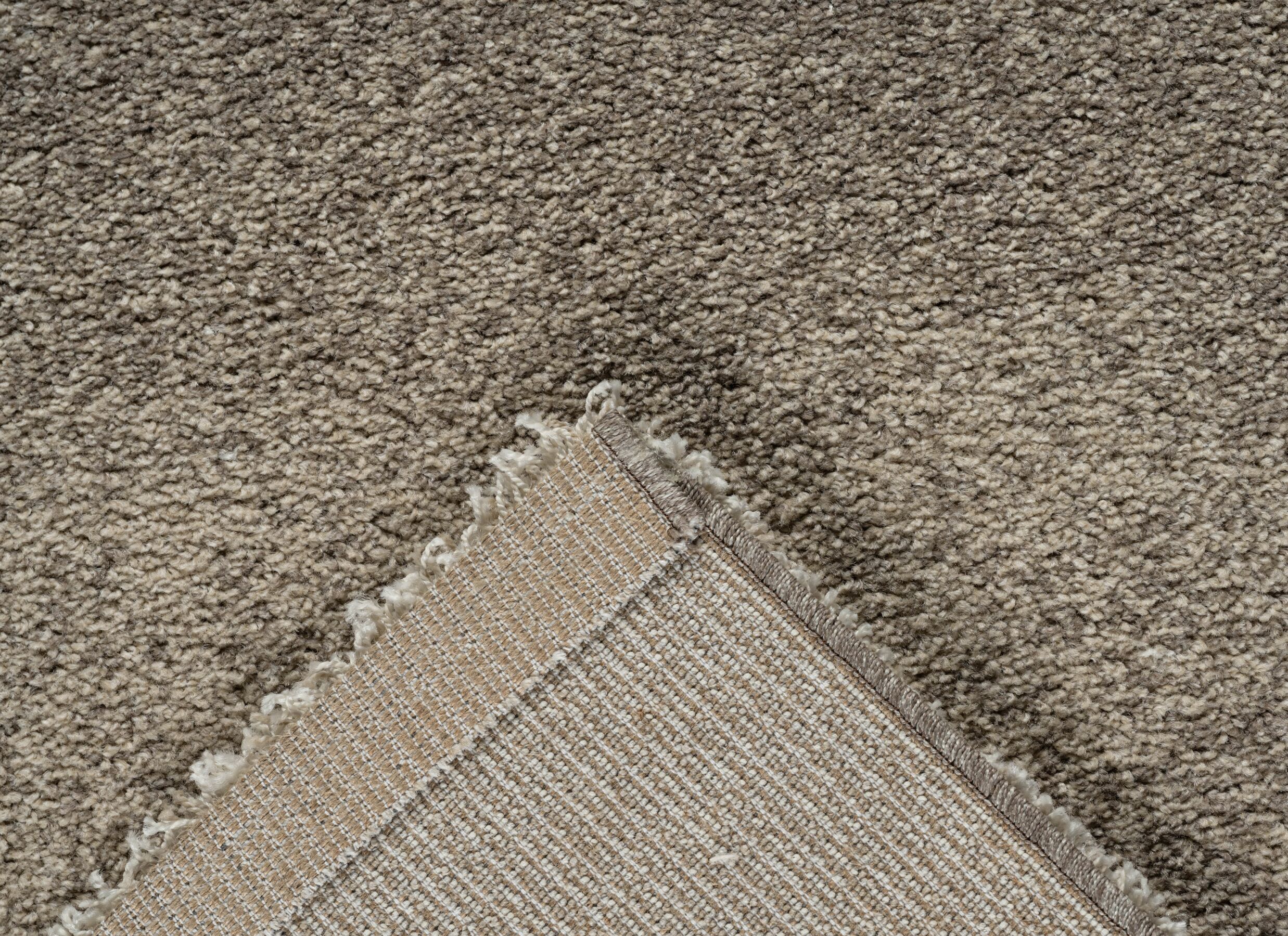 Detailfoto - Tapijt Medusa 240x340cm - heatset polypropyleen - beige & bruin