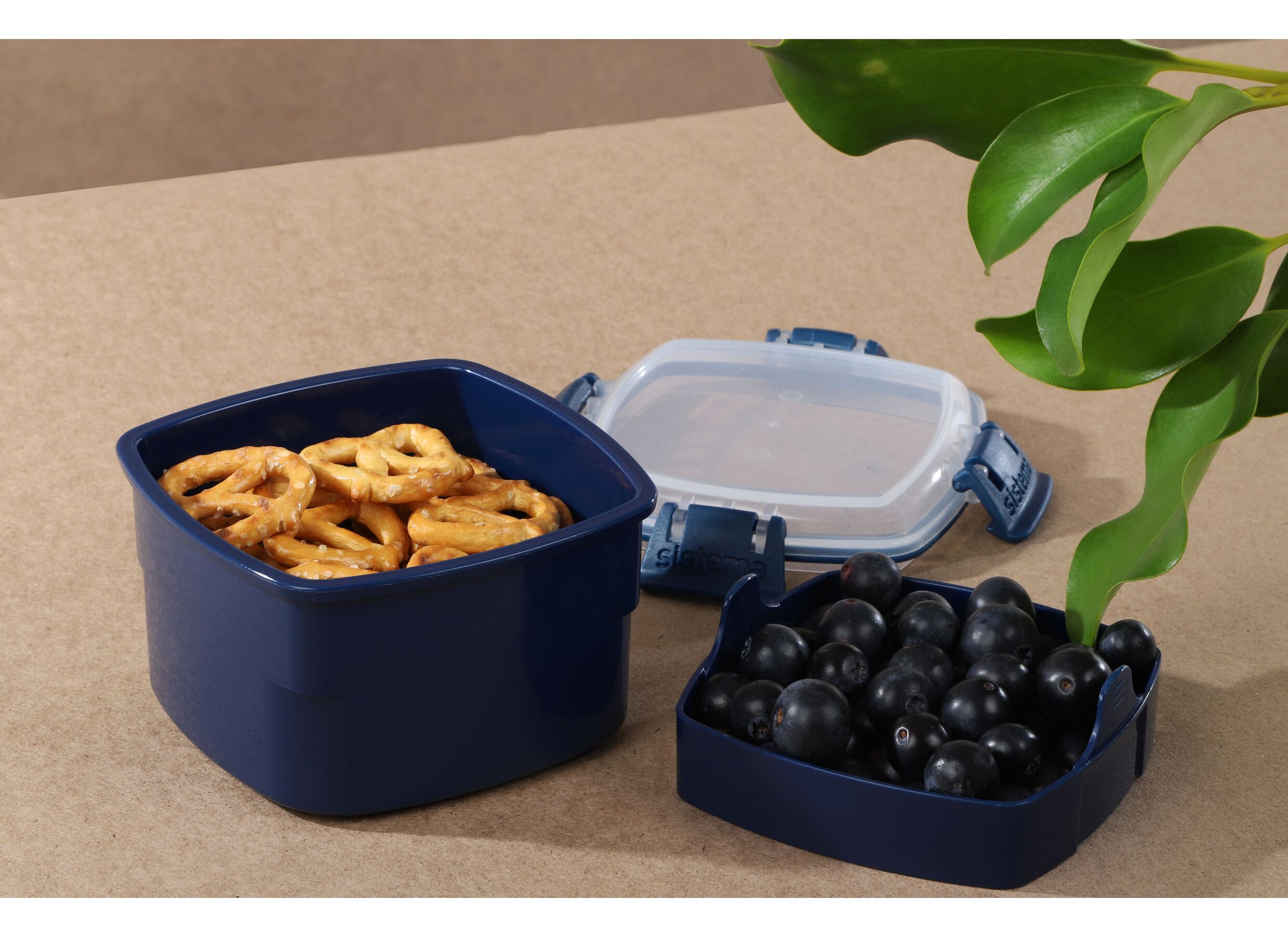 Foto ambiance - Boite de conservation 400ml bleu clair bleu foncé