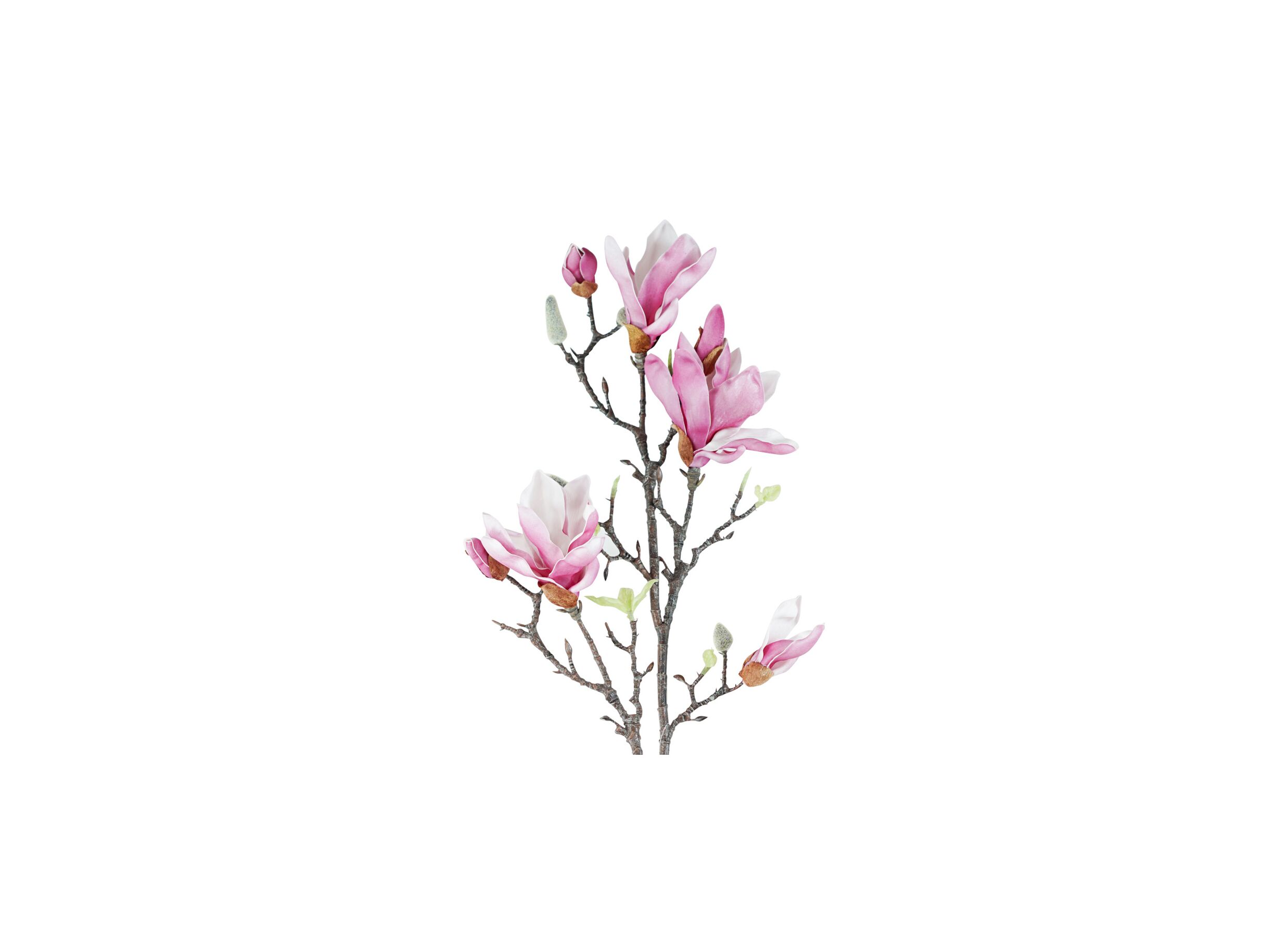 Detailfoto - Kunstbloem Magnolia H101cm