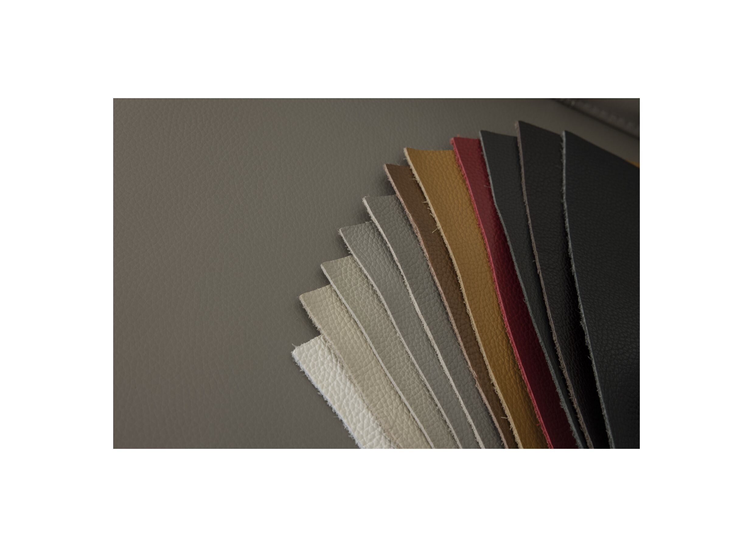 Kleurstaal - Zetel Singer 2,5-zit - leder - taupe