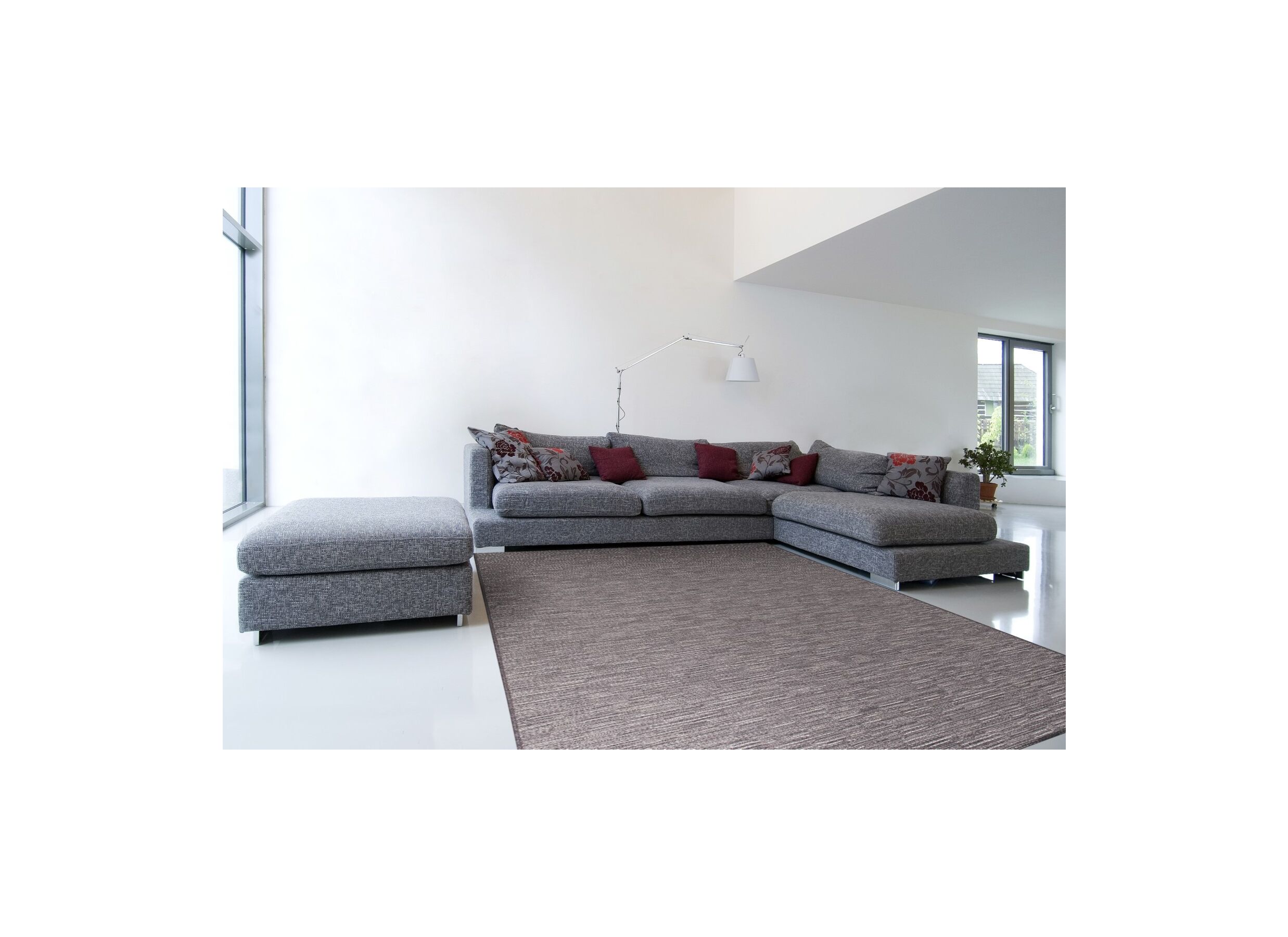 Foto ambiance - Tapis Himalaya 290x200cm laine gris