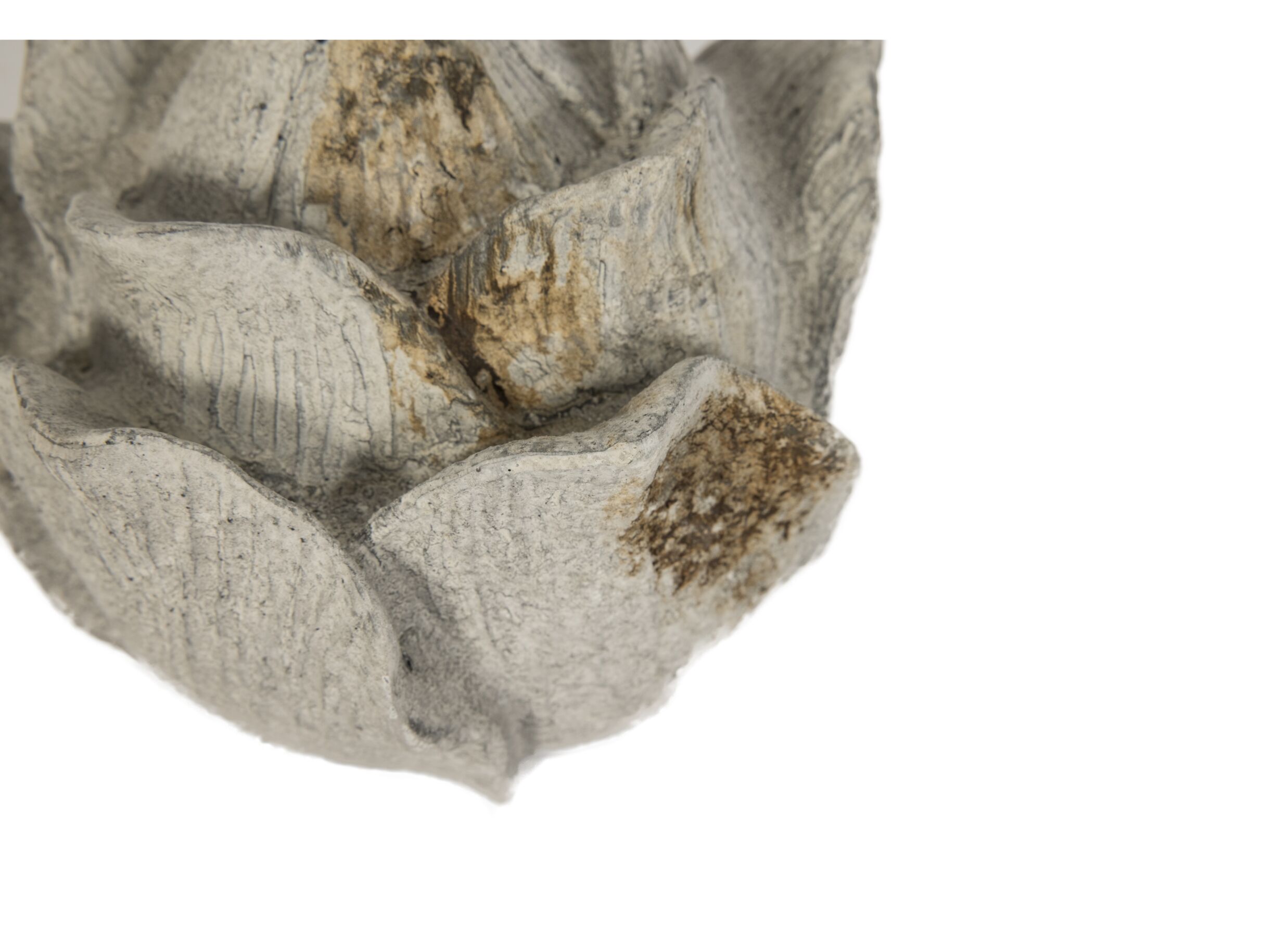 Detail - Déco Rosae Ø17cm