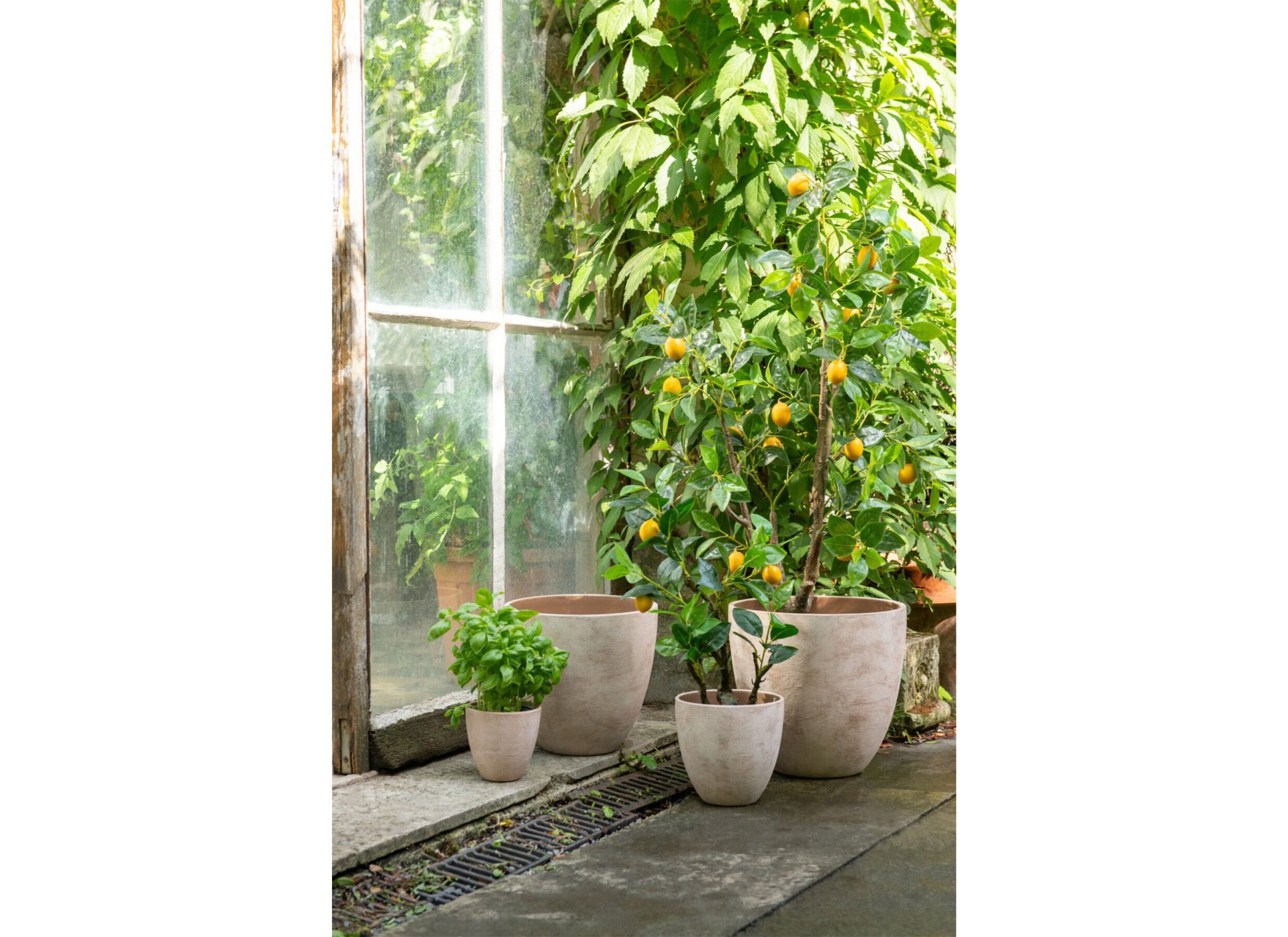 Sfeerfoto - Kunstplant Citroenboom H130cm - kunststof - groen