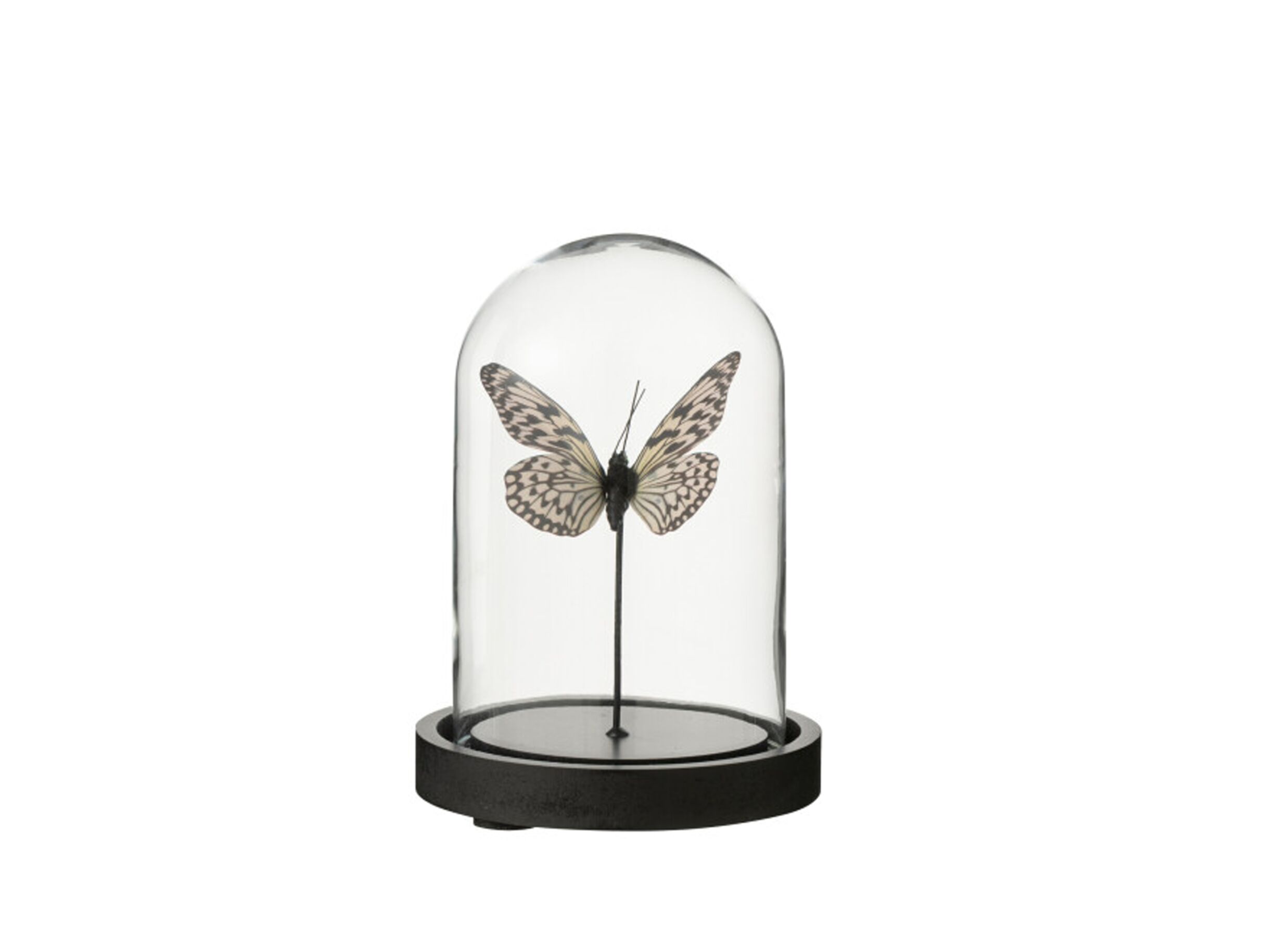 Stolp Vlinder H16cm - glas - zwart & transparant - Cloche Papillon H16cm - verre - noir & transparent
